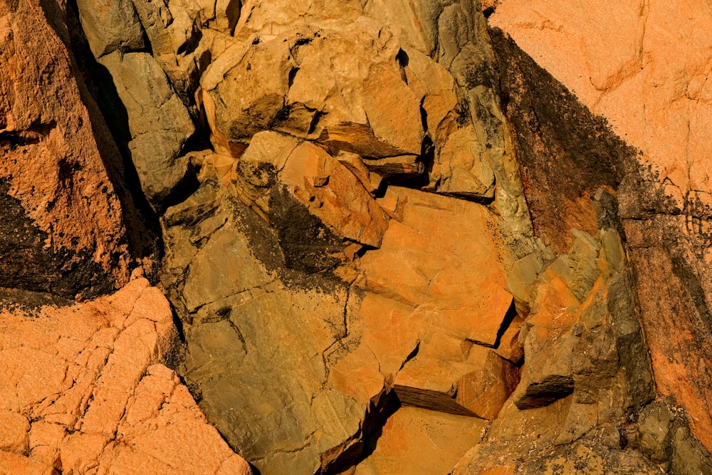 Un canyon rocheux avec quelques fissures