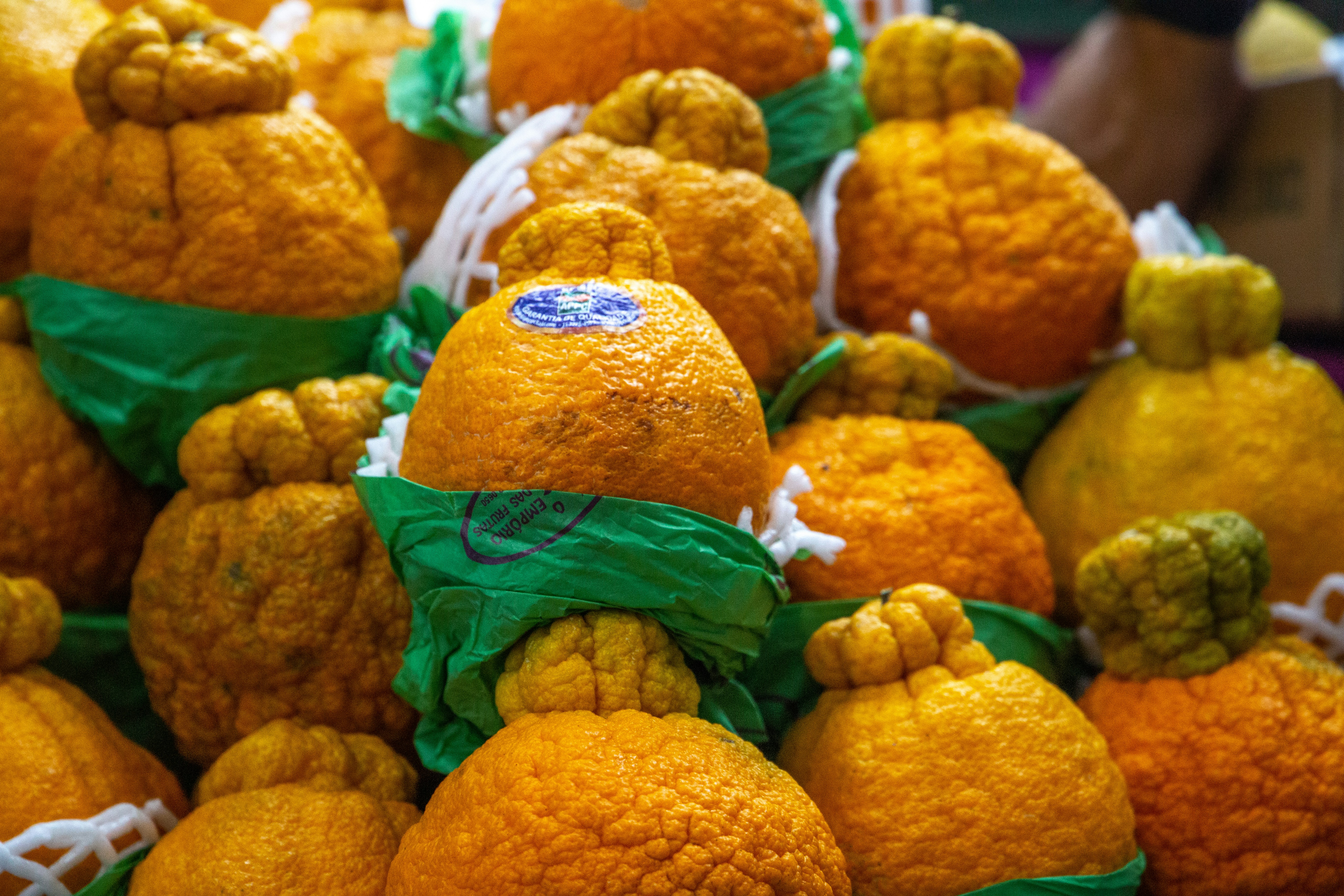 a pile of oranges, An obligatory visit for tourists from all over Brazil and other countries, the Mercado Municipal Paulistano is one of the most traditional gourmet spots in the city. And no less. At the Mercadão de SP, as it is affectionately known by its visitors, it is possible to find everything from fresh vegetables and fruits, to meat, poultry, fish and seafood, to pastas, sweets, spices and top quality imported products.