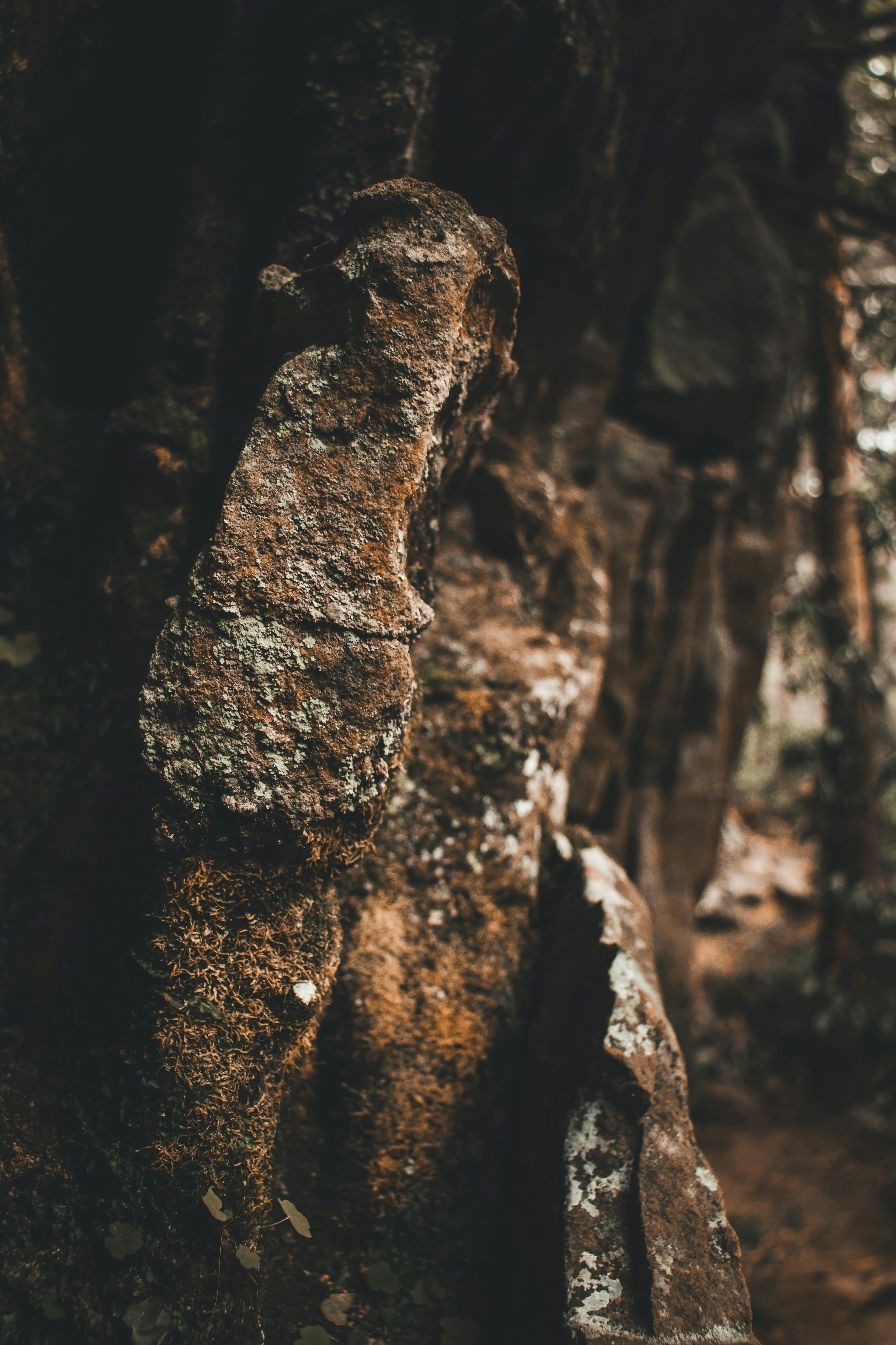 Photo by brice_cooper18