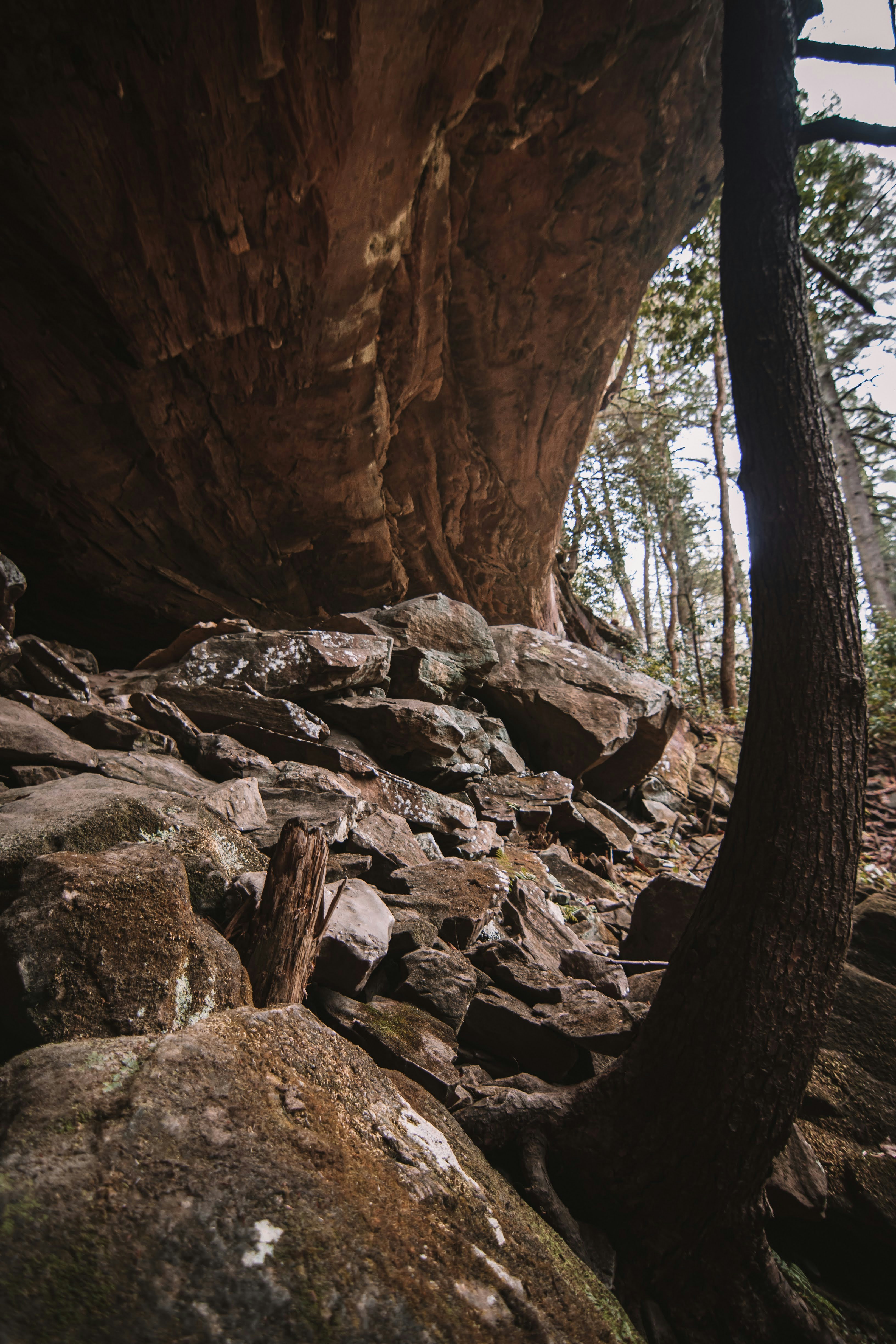 Photo by brice_cooper18