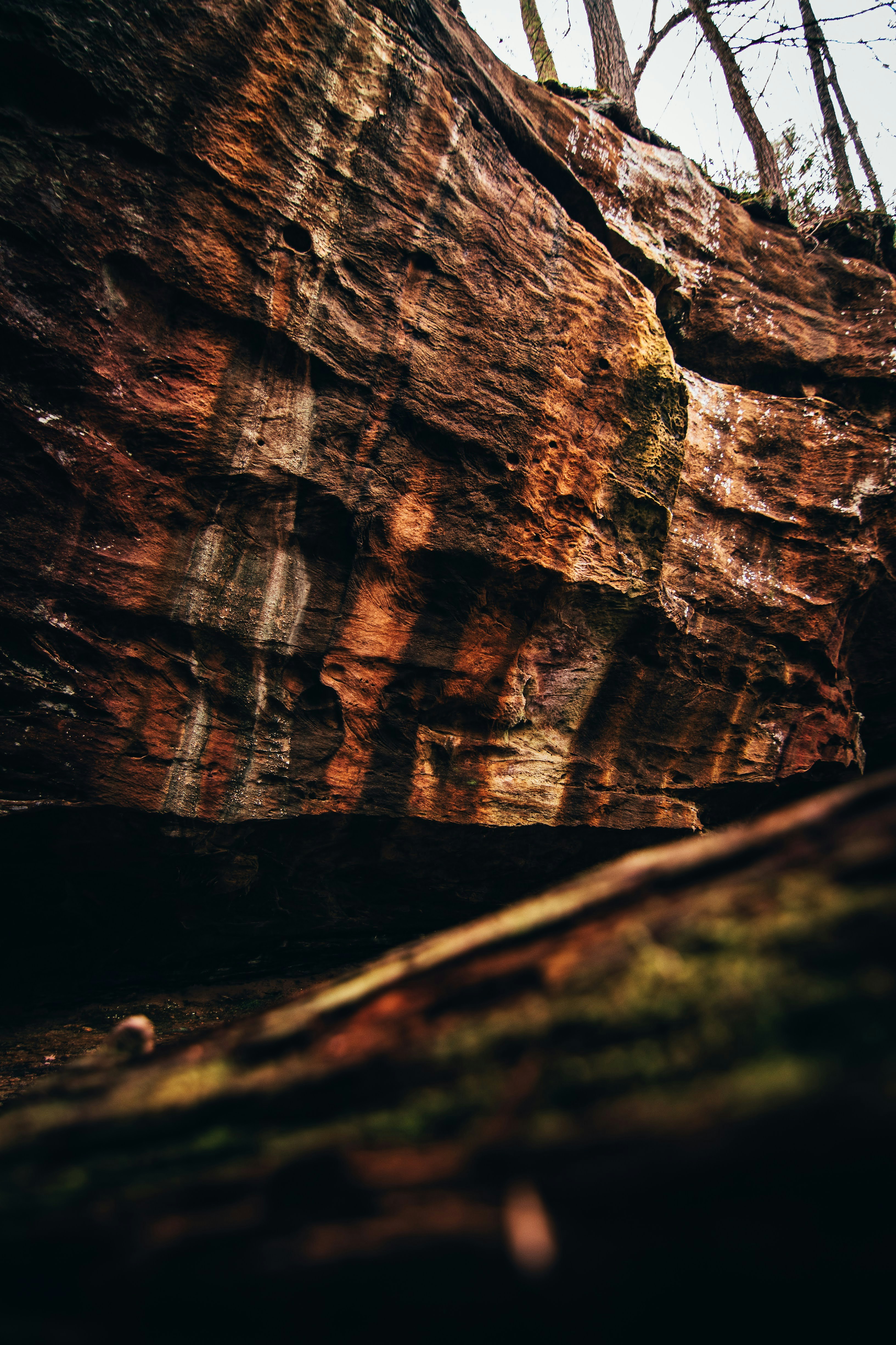 Photo by brice_cooper18