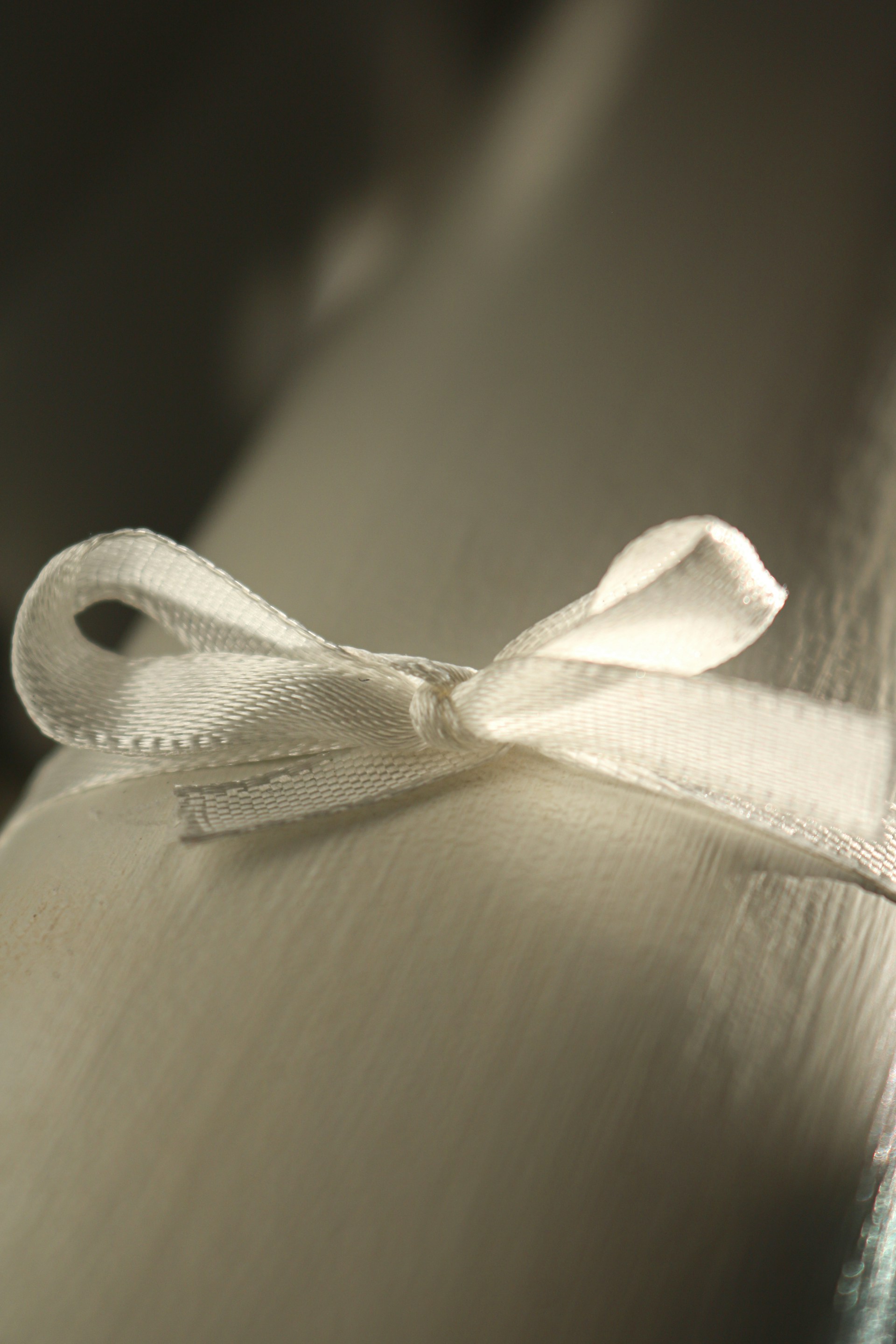 a white snake on a wood surface
