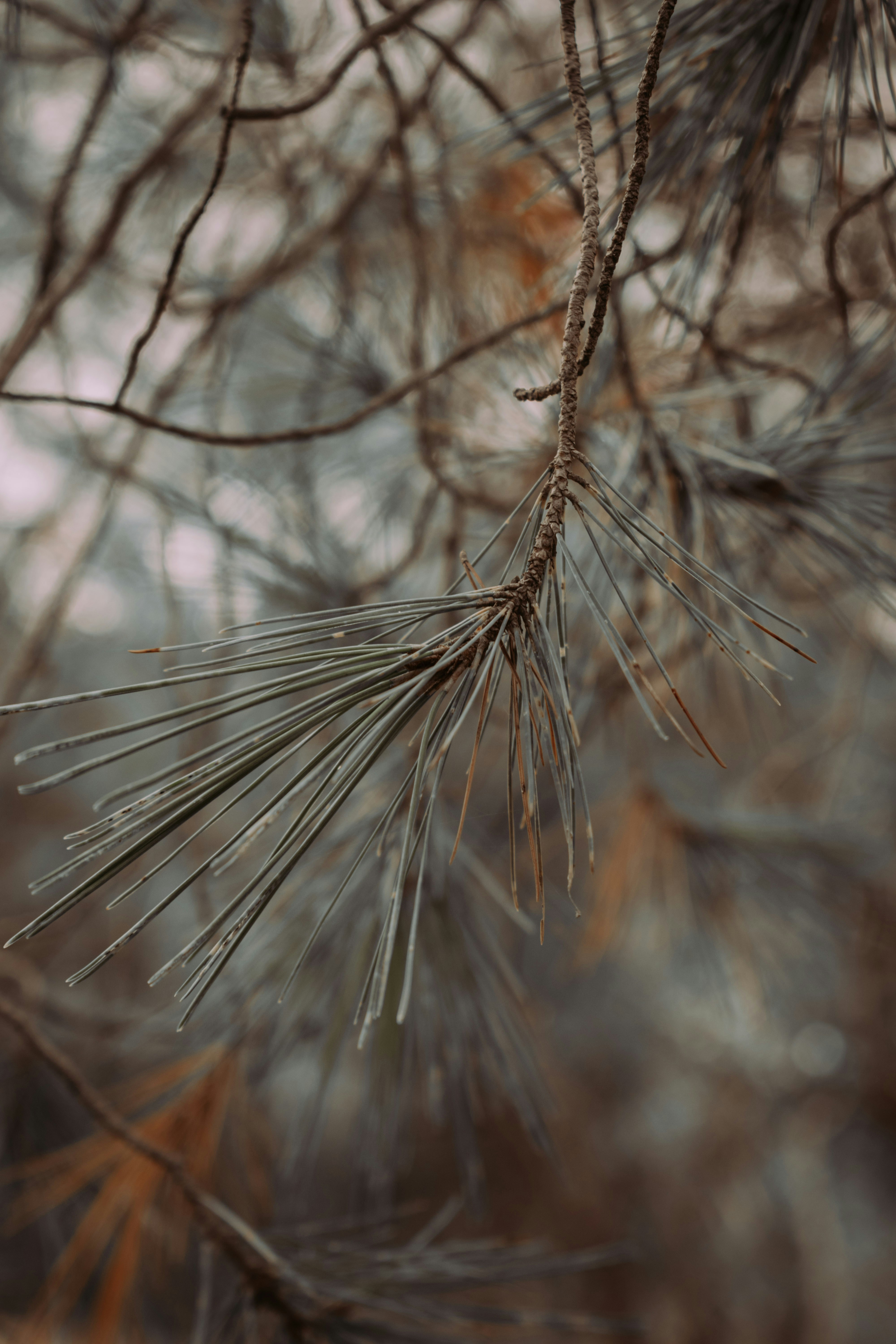 Photo by bilal_ayadi