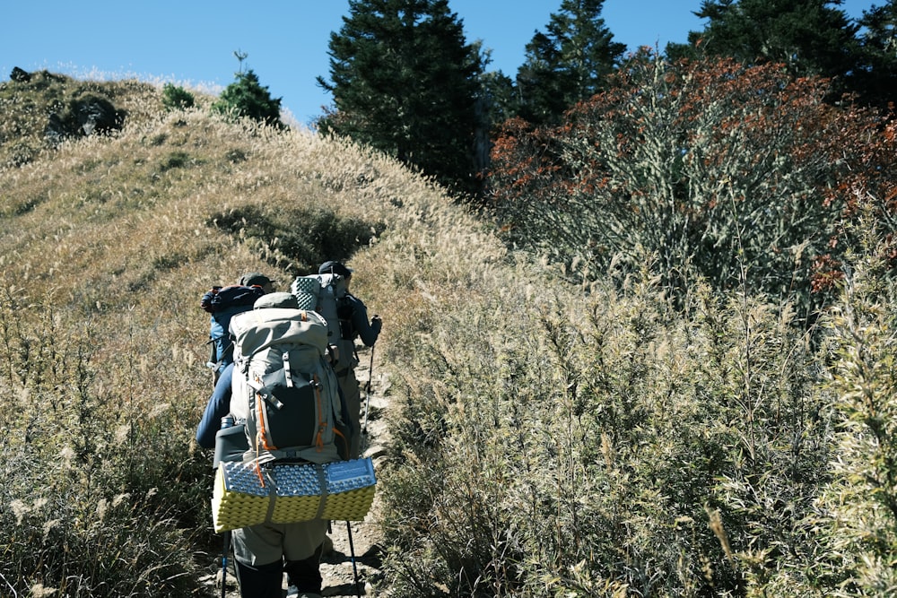 Una persona con una mochila en una colina con árboles al fondo