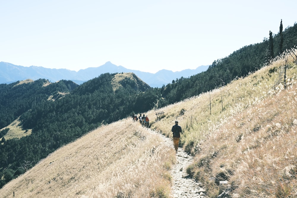 a group of people riding horses on a trail in a hilly area