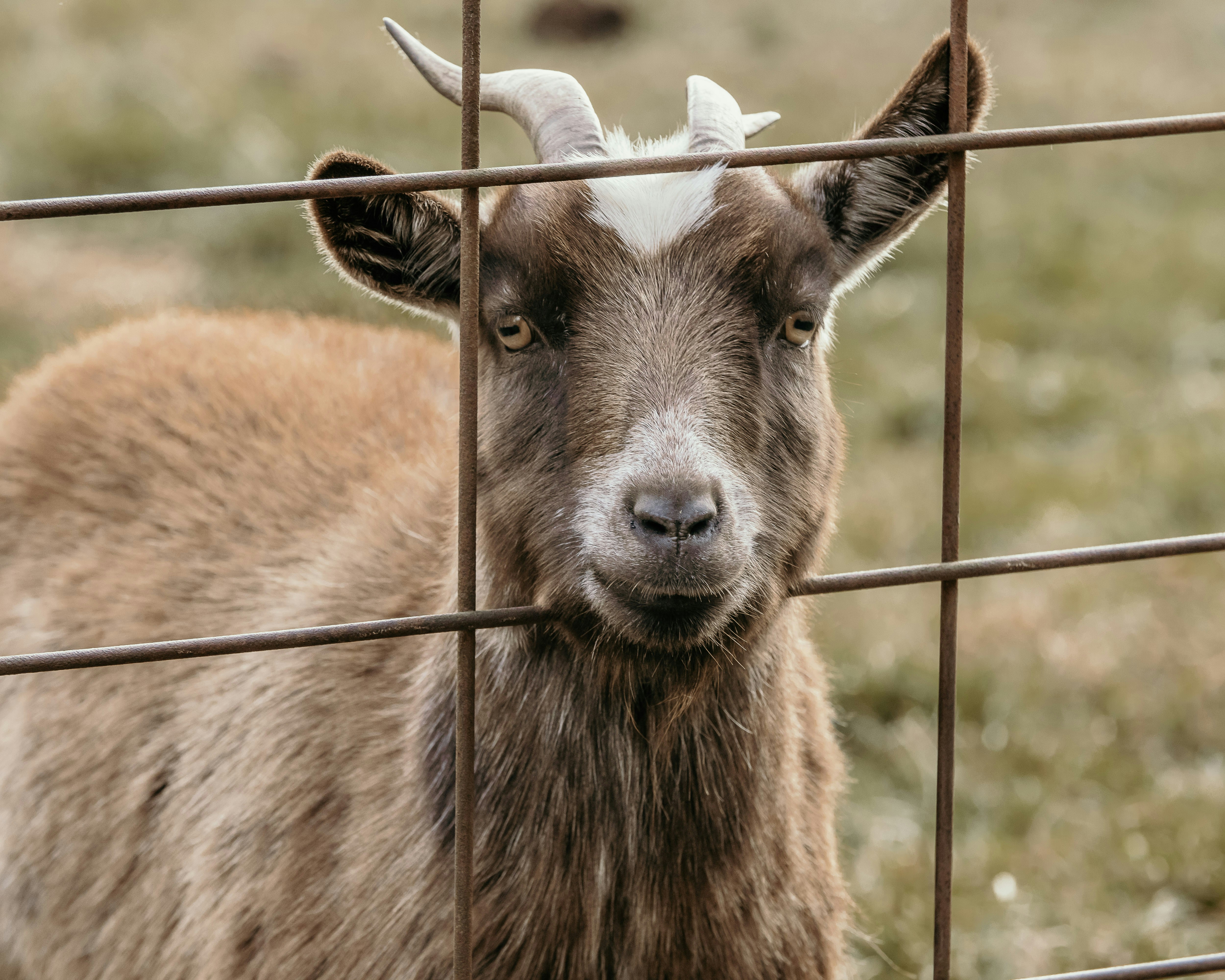 Photo by jasonayersraw