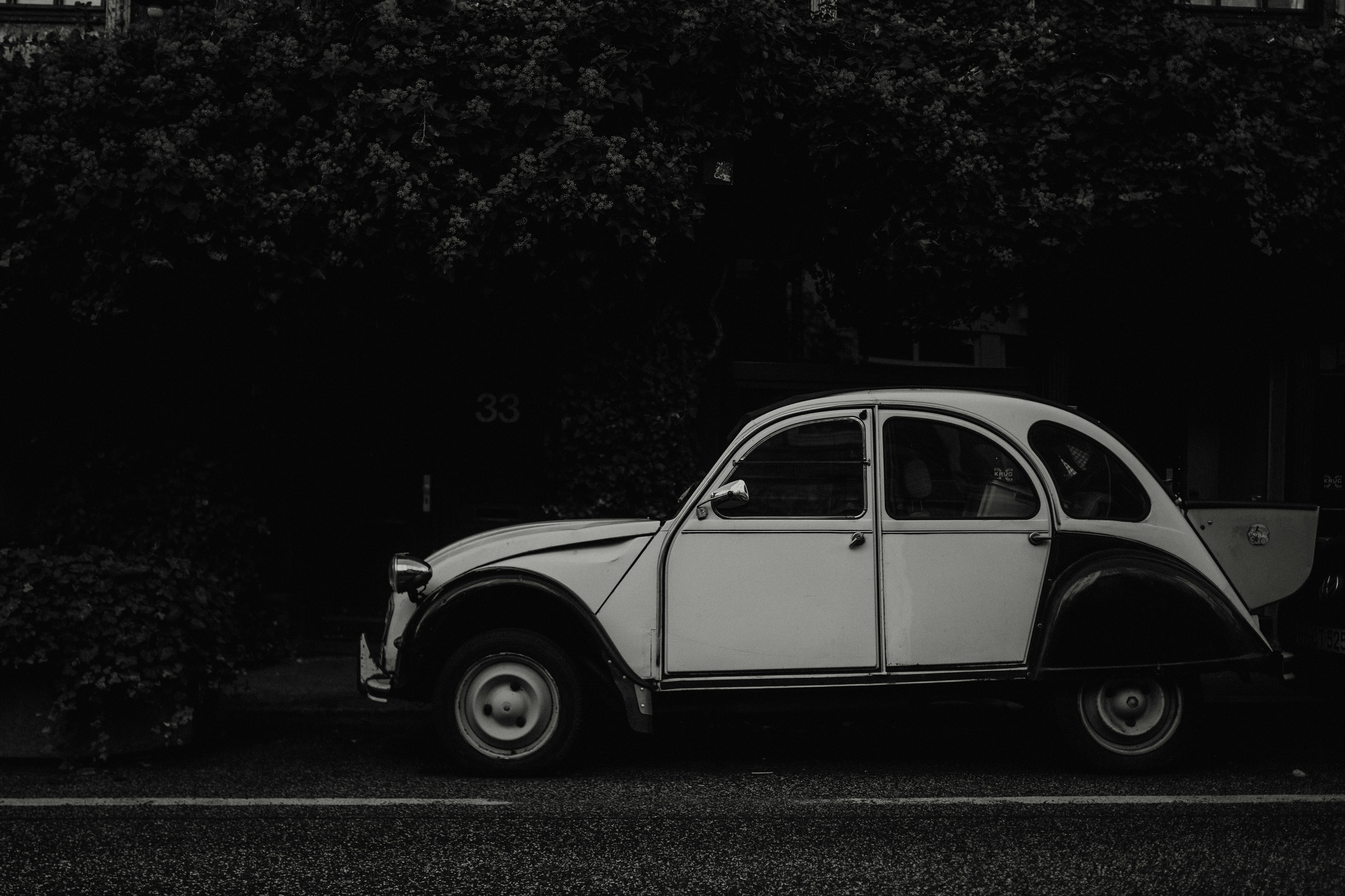 Photo by luiseandnic