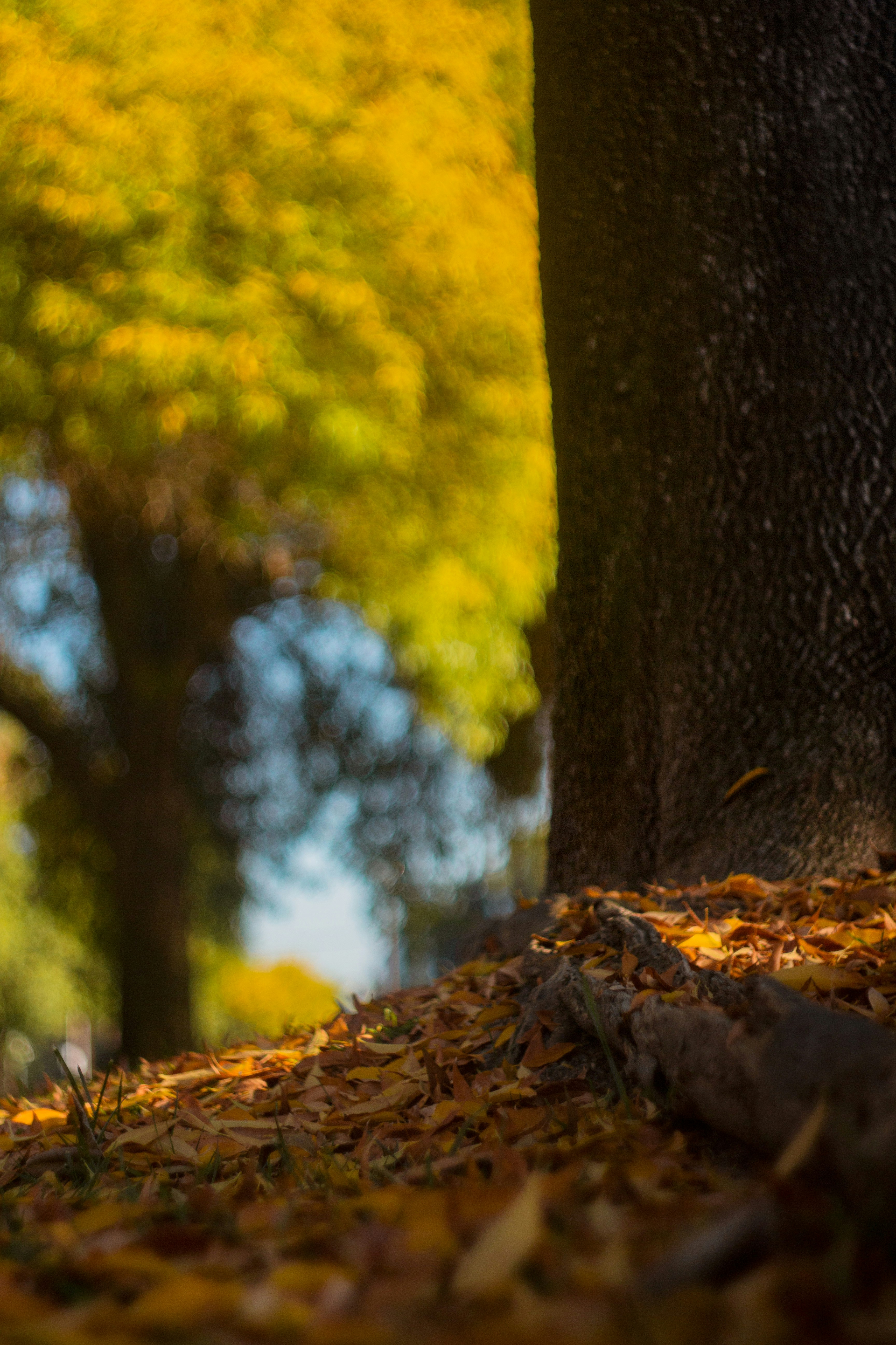 Photo by emmanuelphaeton