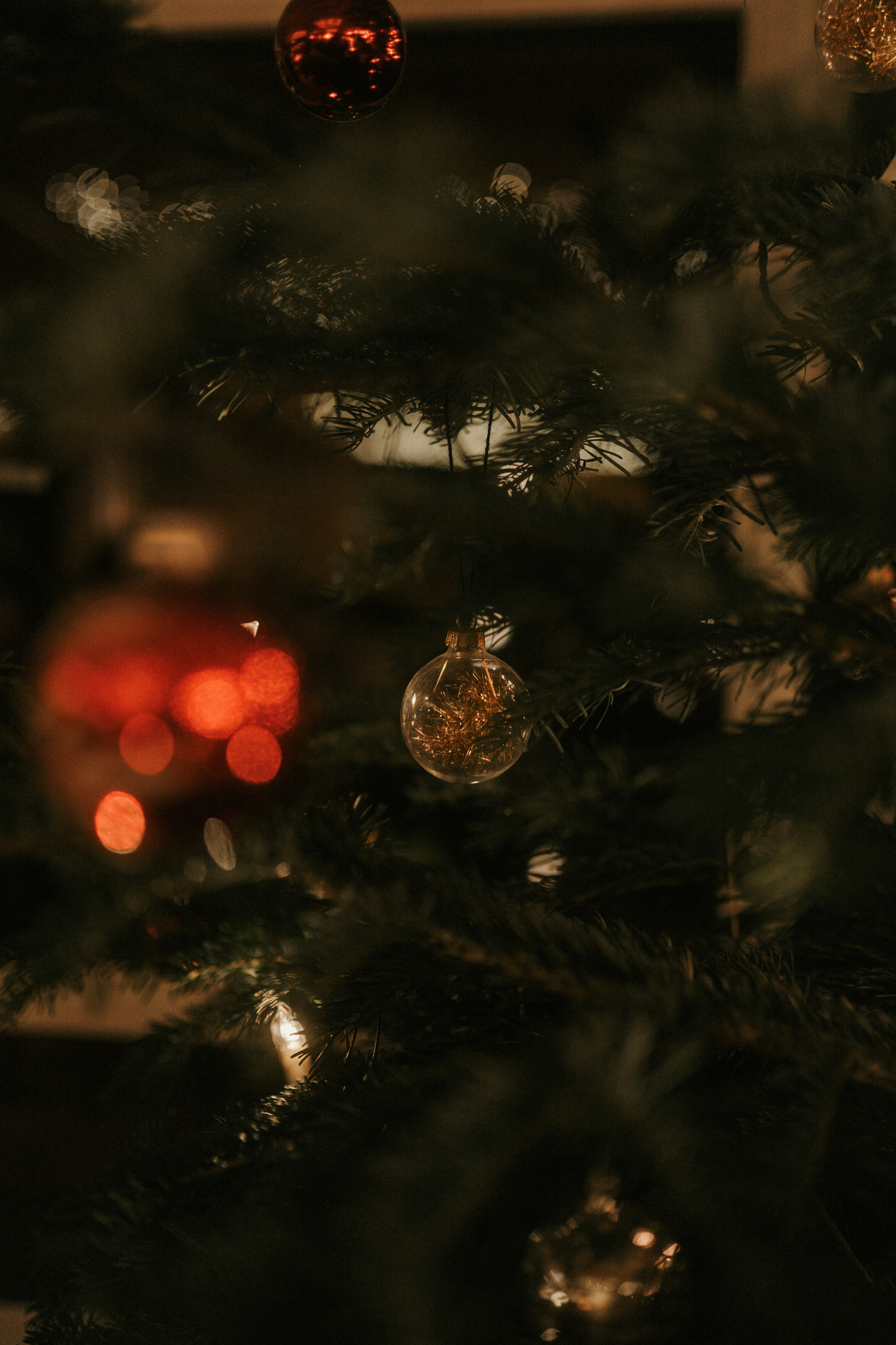 Photo by luiseandnic