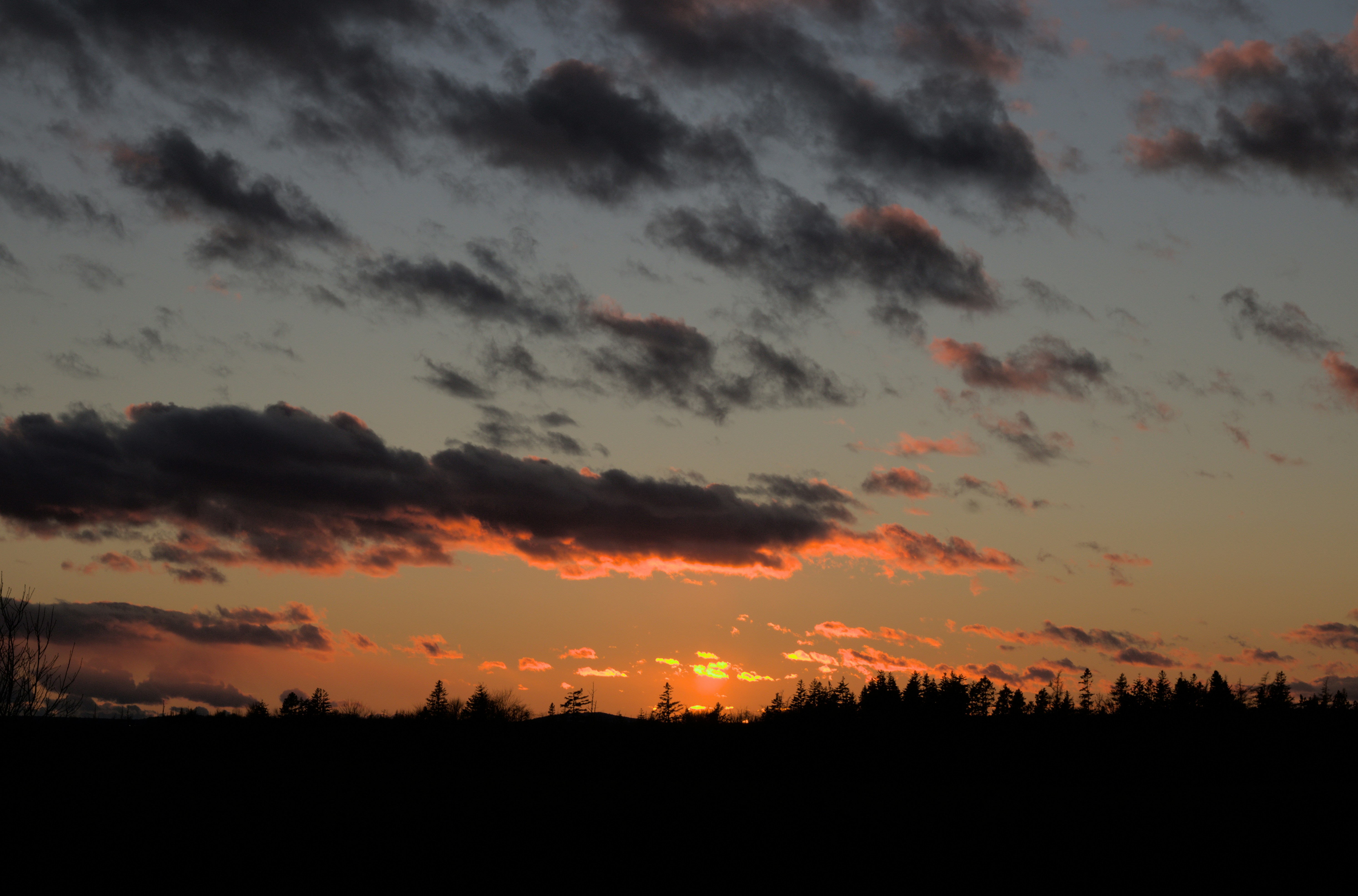 Photo by contigotheseagull