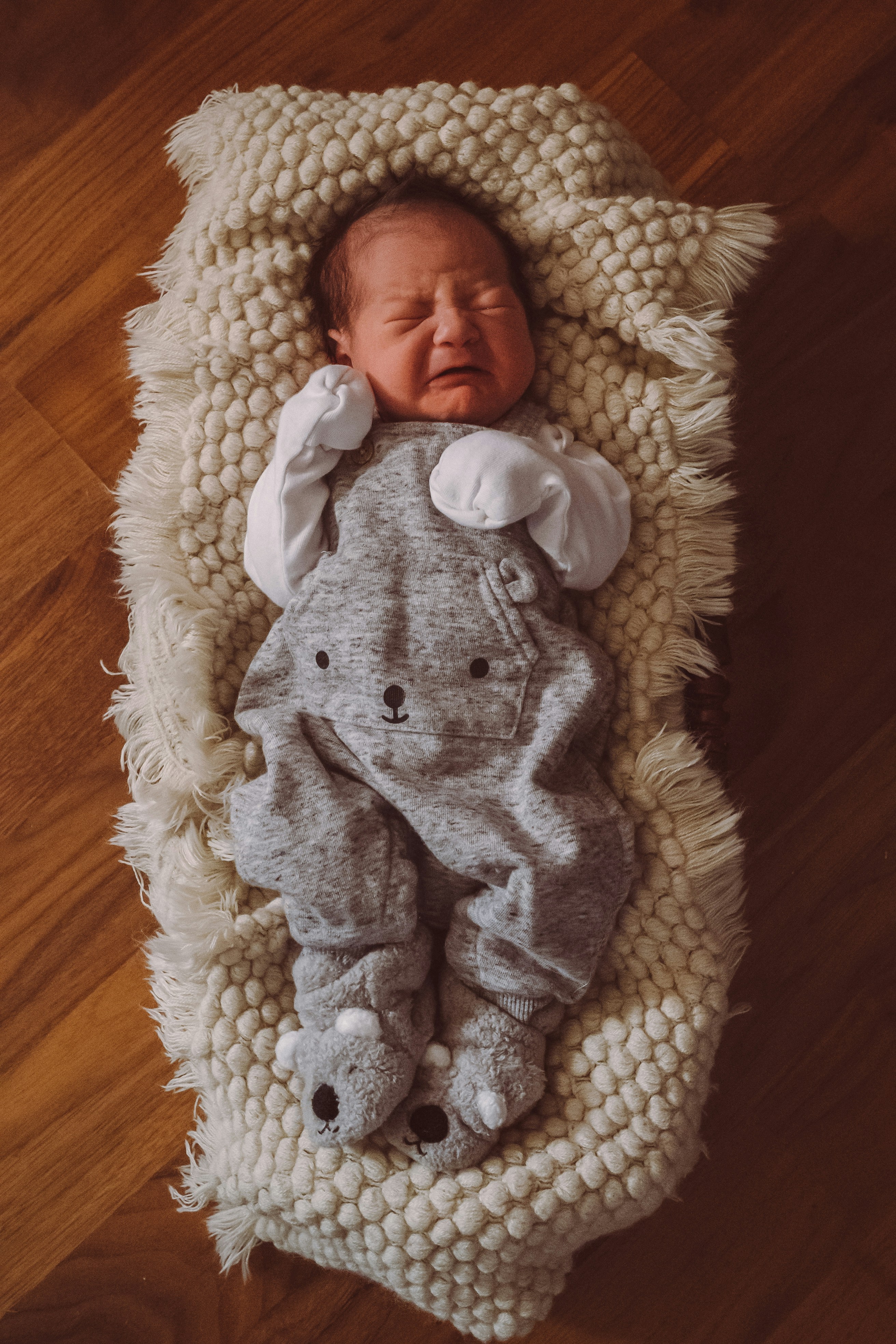 Photo by gymxratpapii