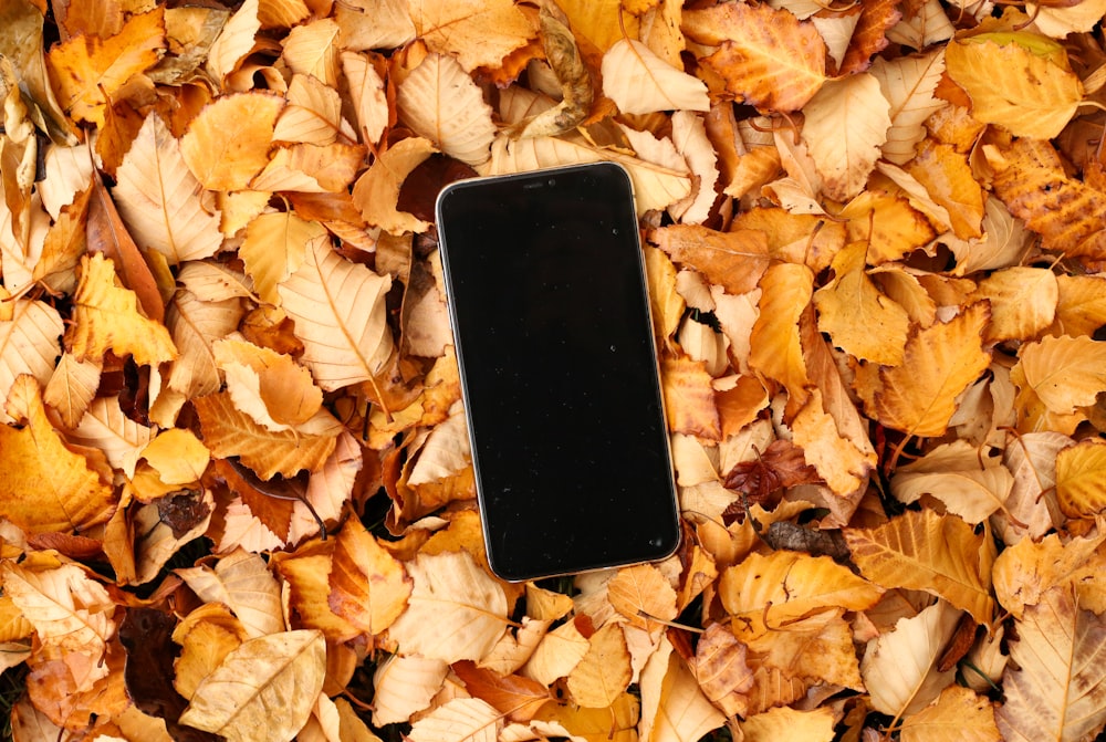 a cell phone on a pile of leaves