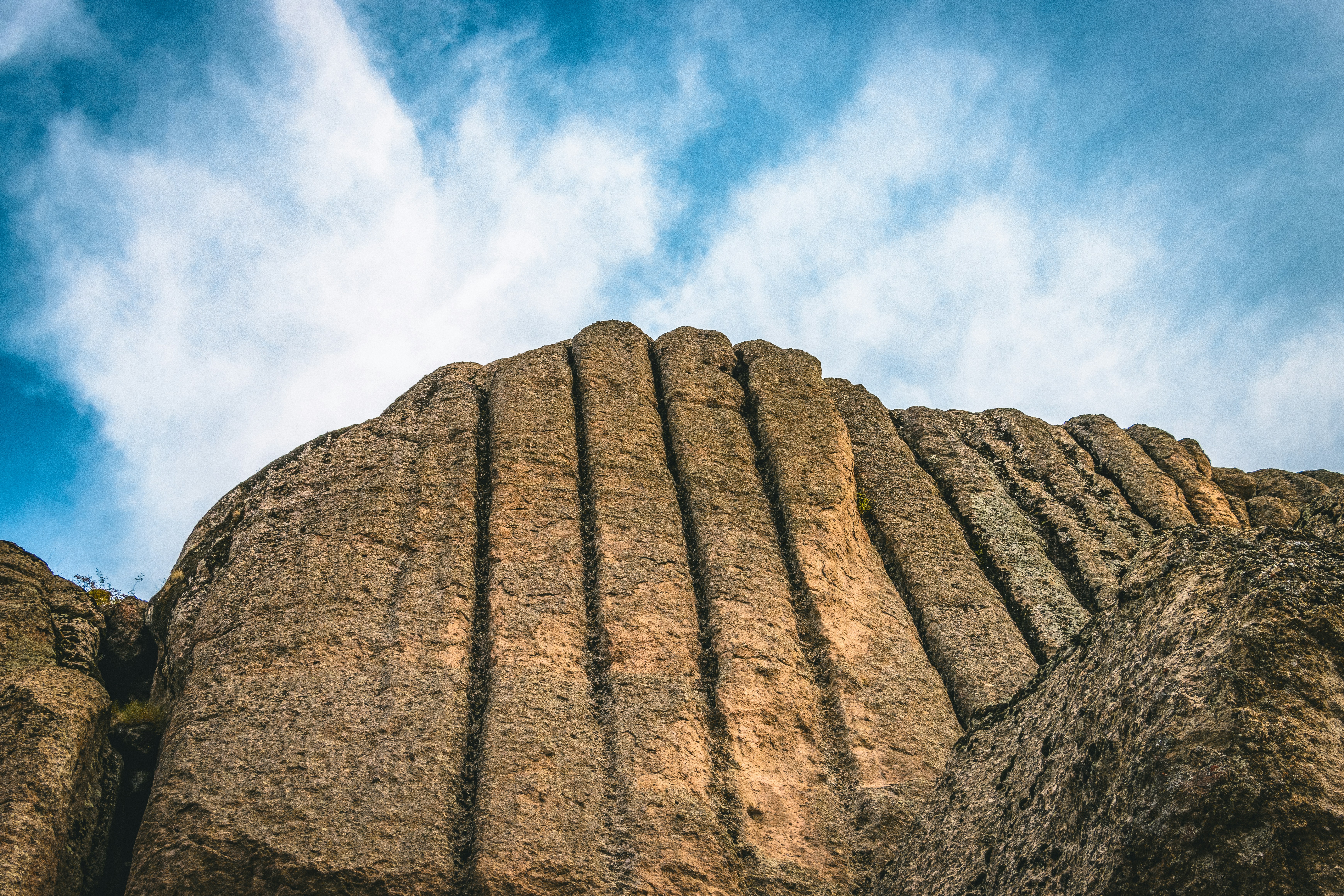 Photo by alirad_zare