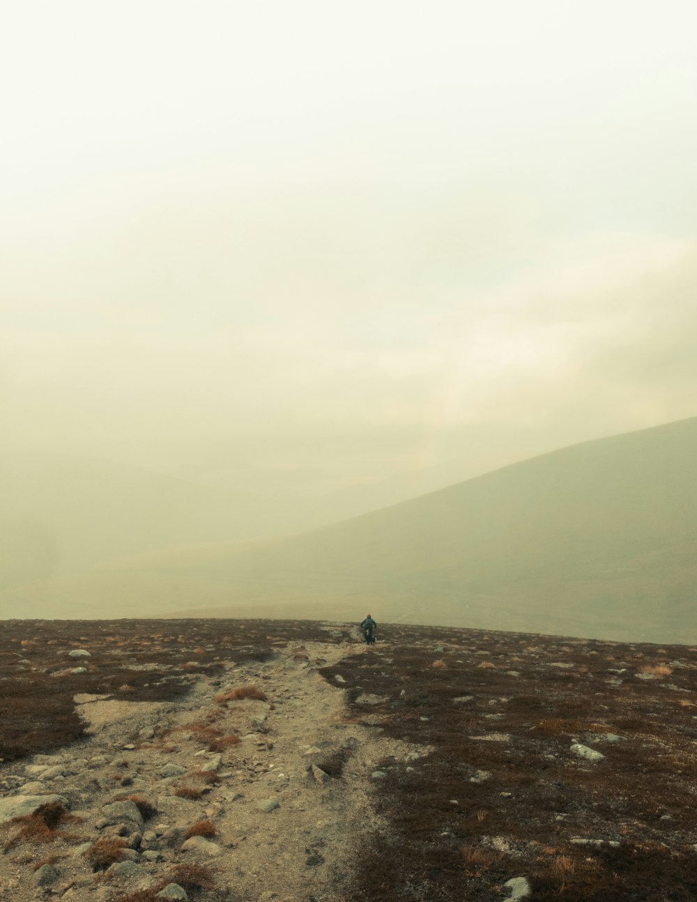 a person walking on a rocky path