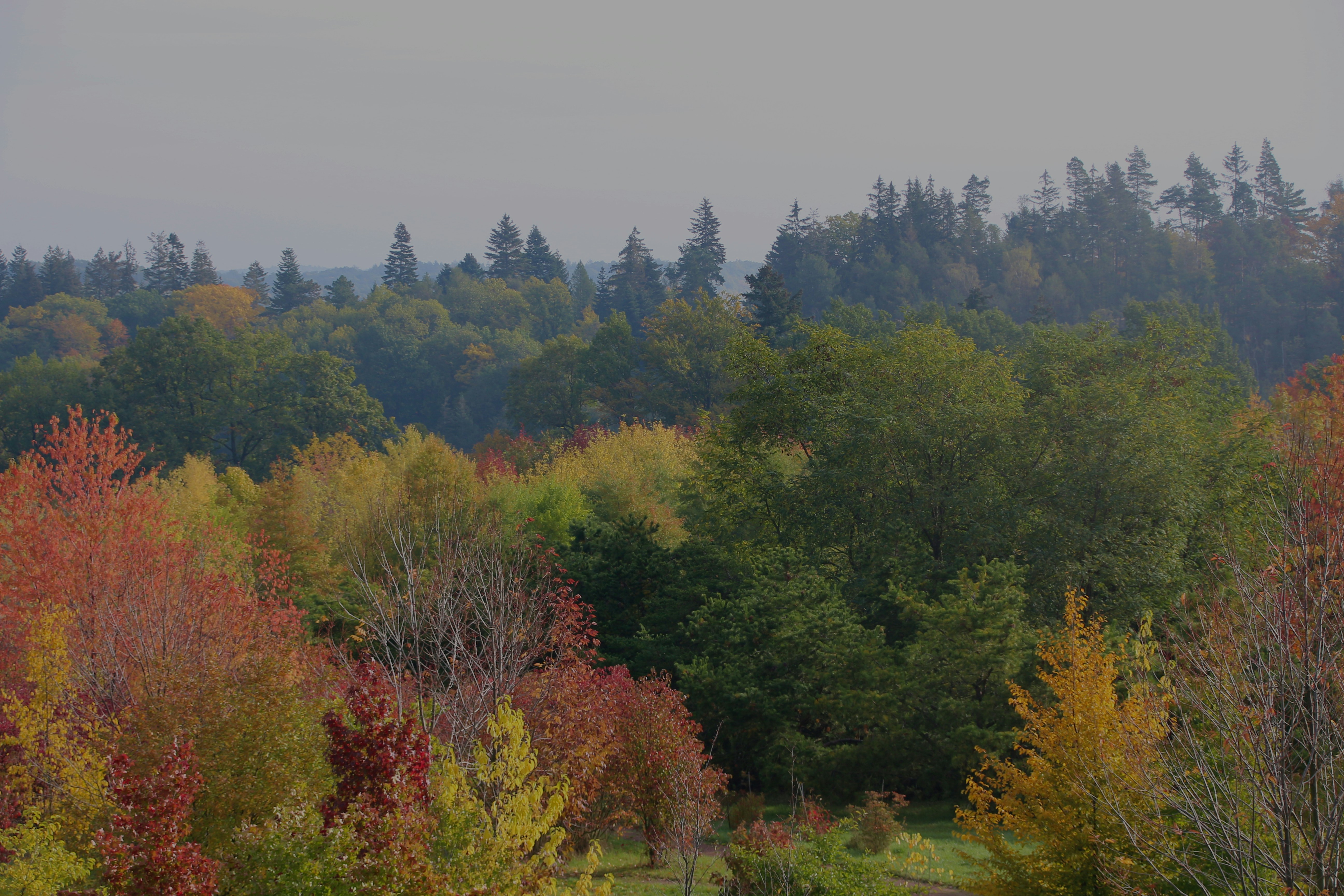 Photo by klarin_steffens