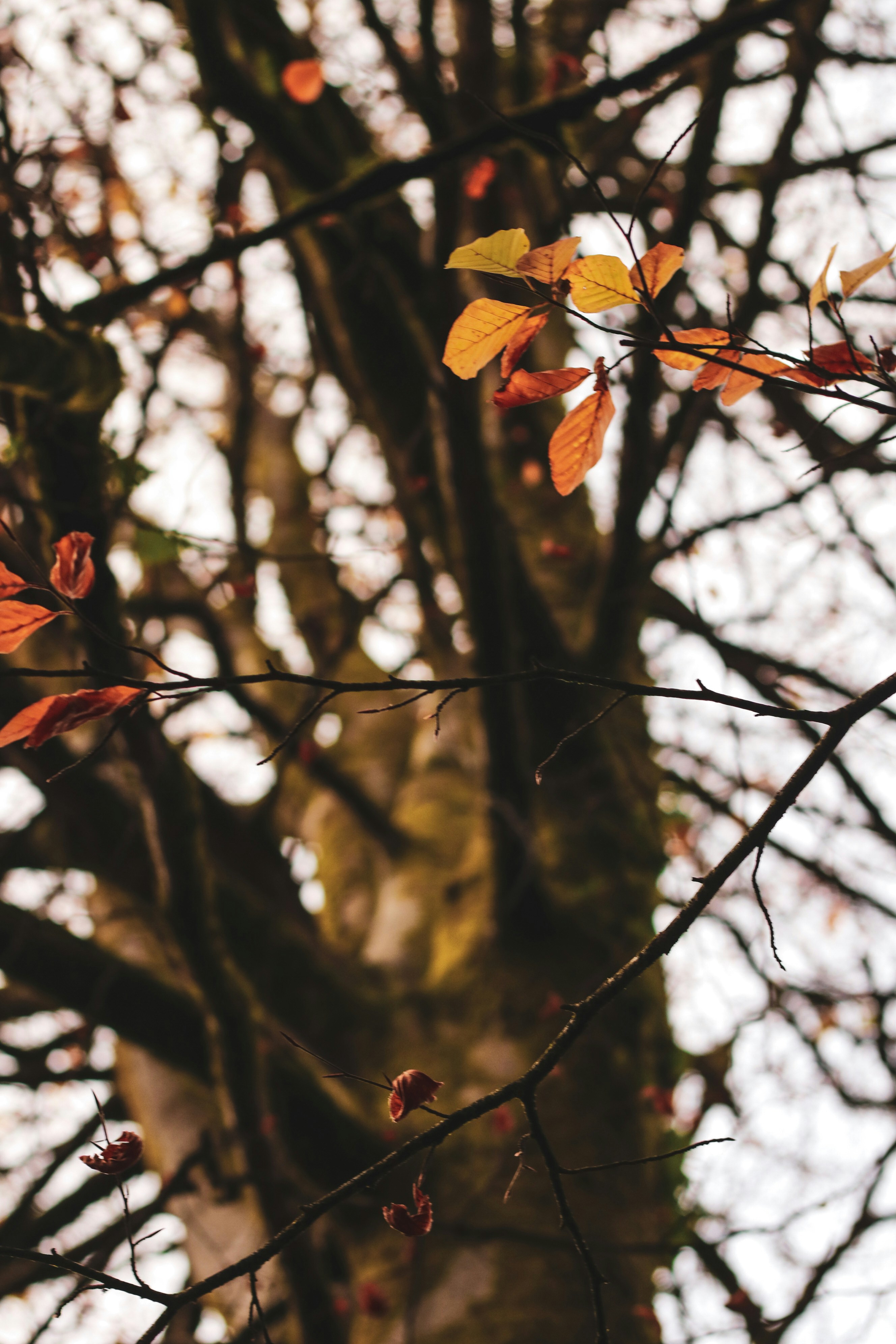 Photo by focalinsight