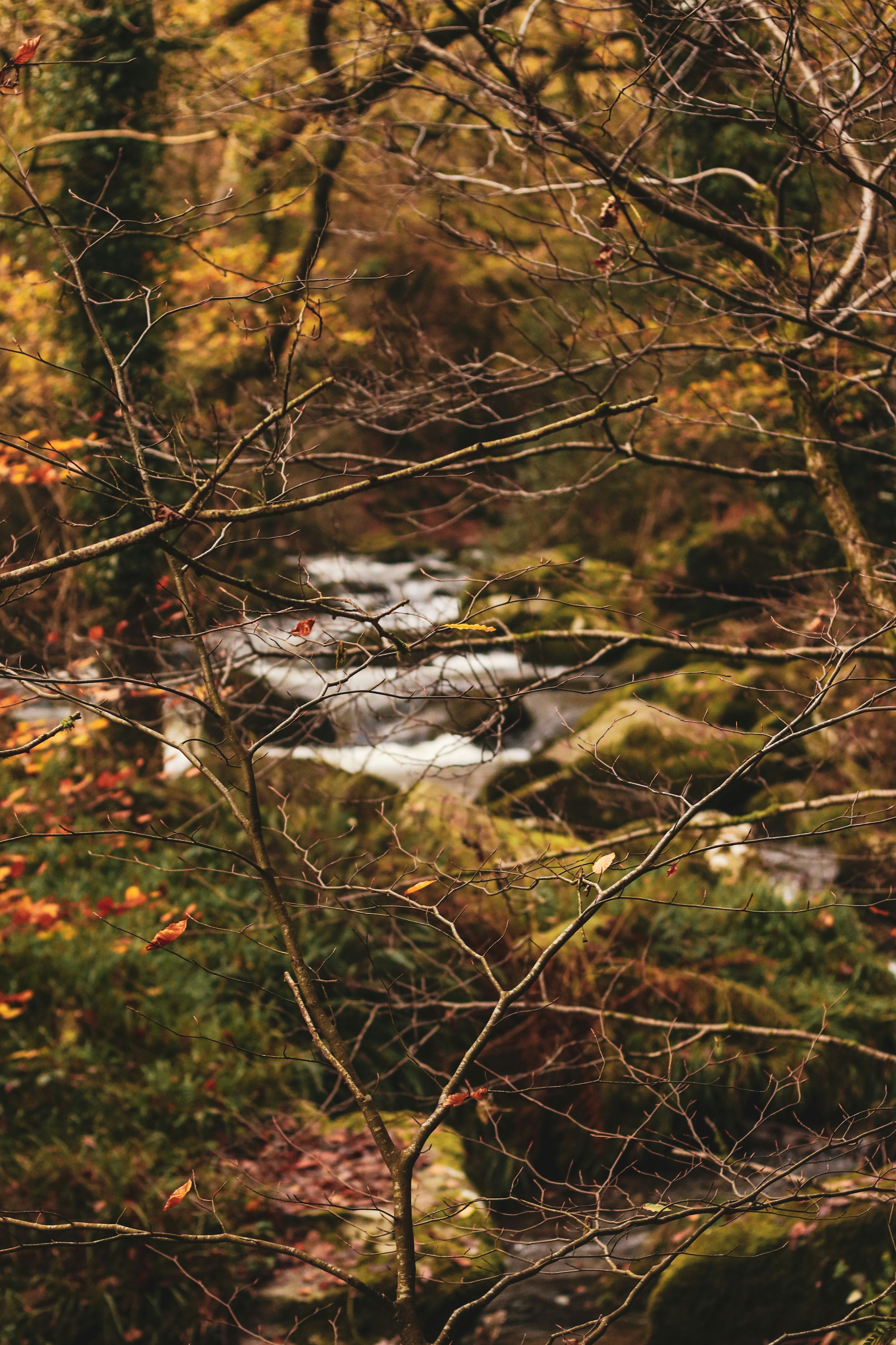 Photo by focalinsight