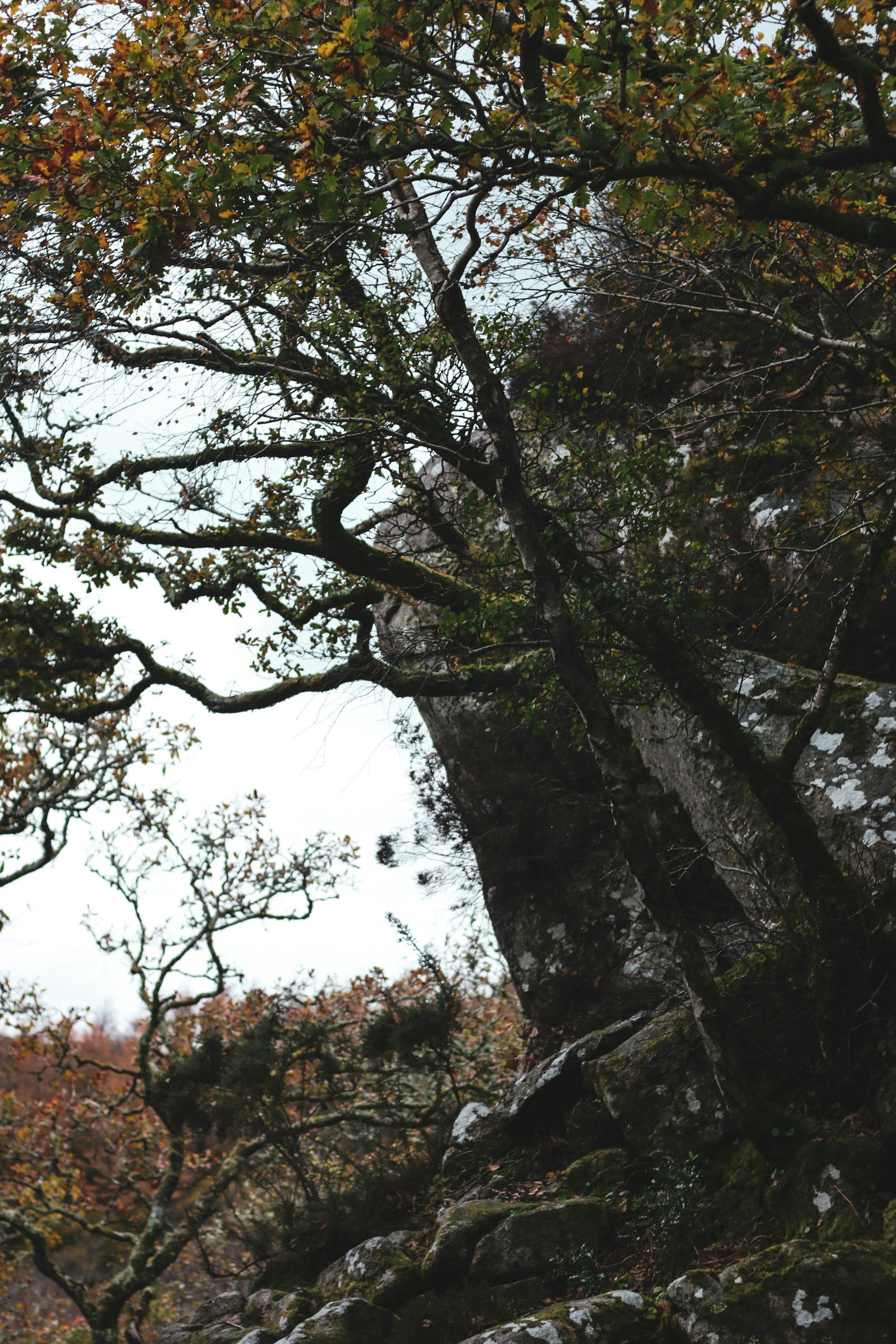 Photo by focalinsight