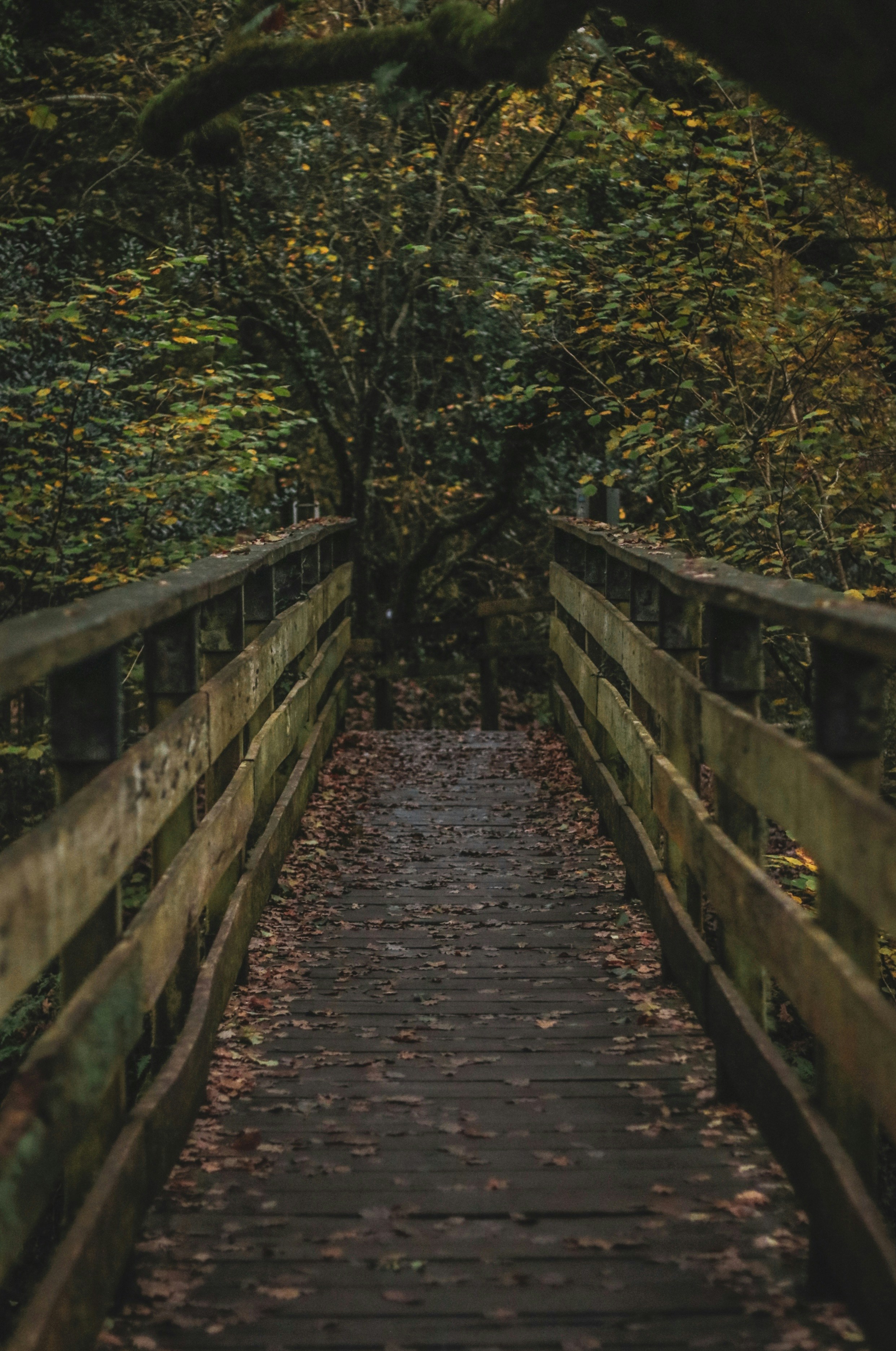 Photo by focalinsight