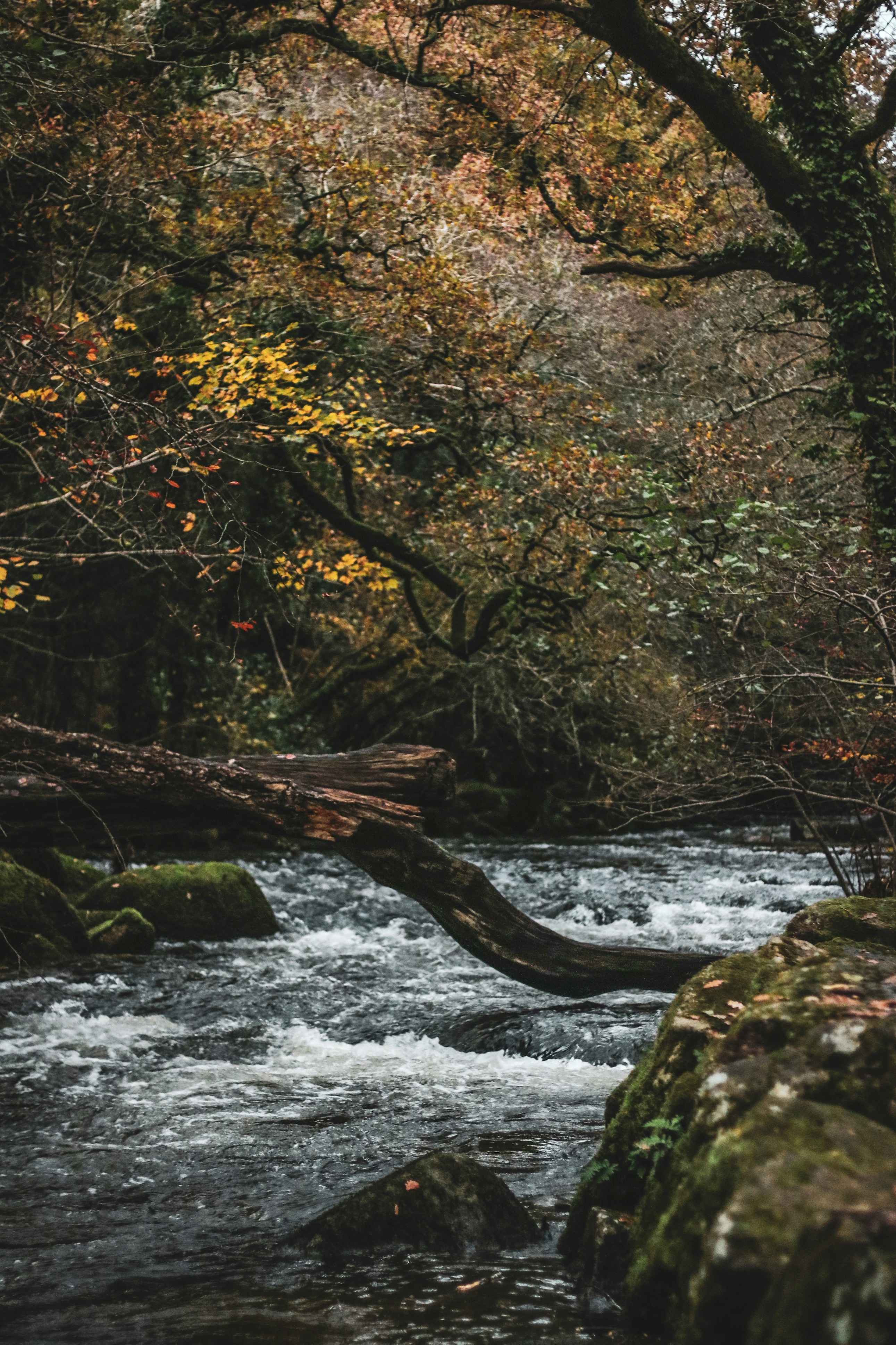 Photo by focalinsight