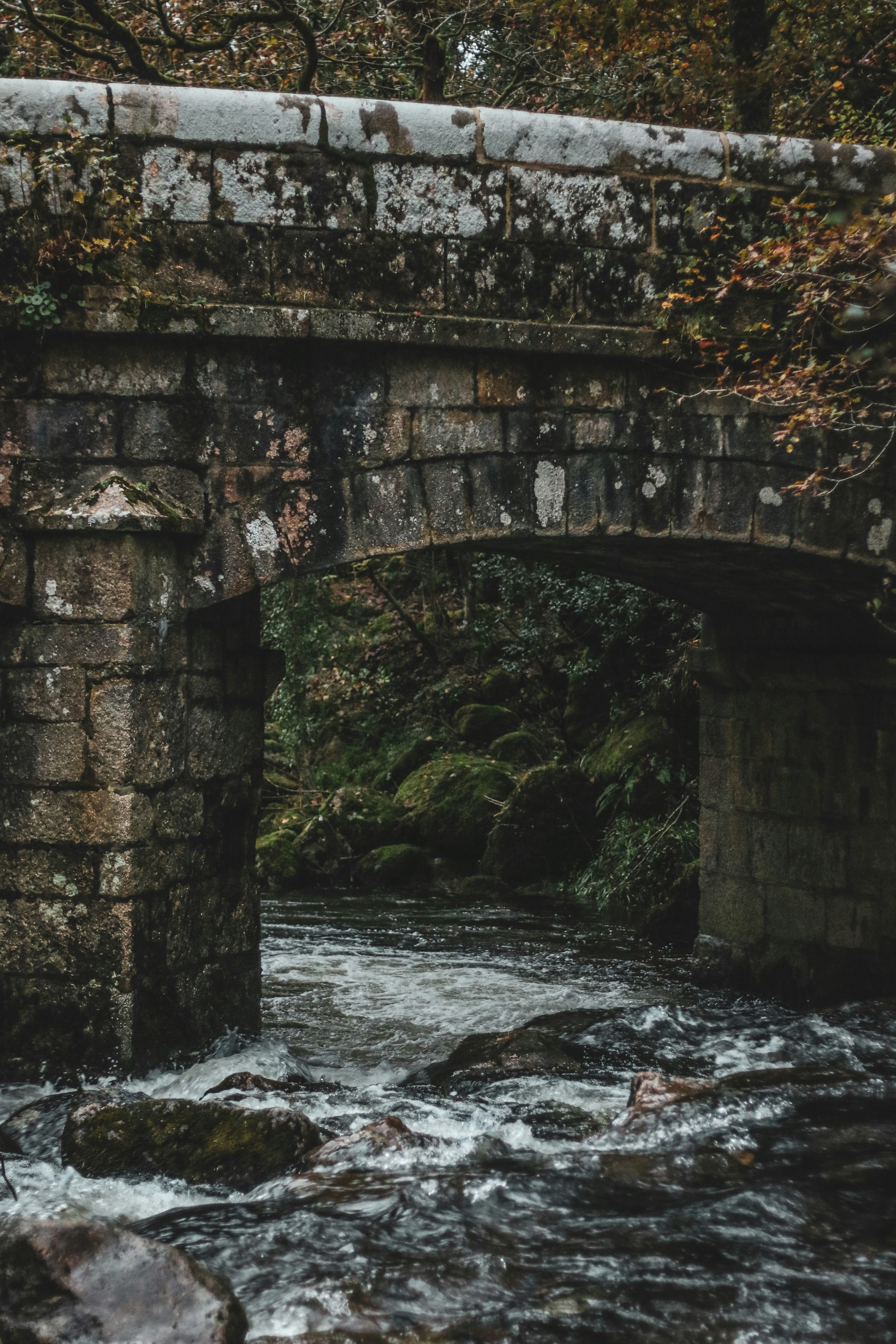 Photo by focalinsight