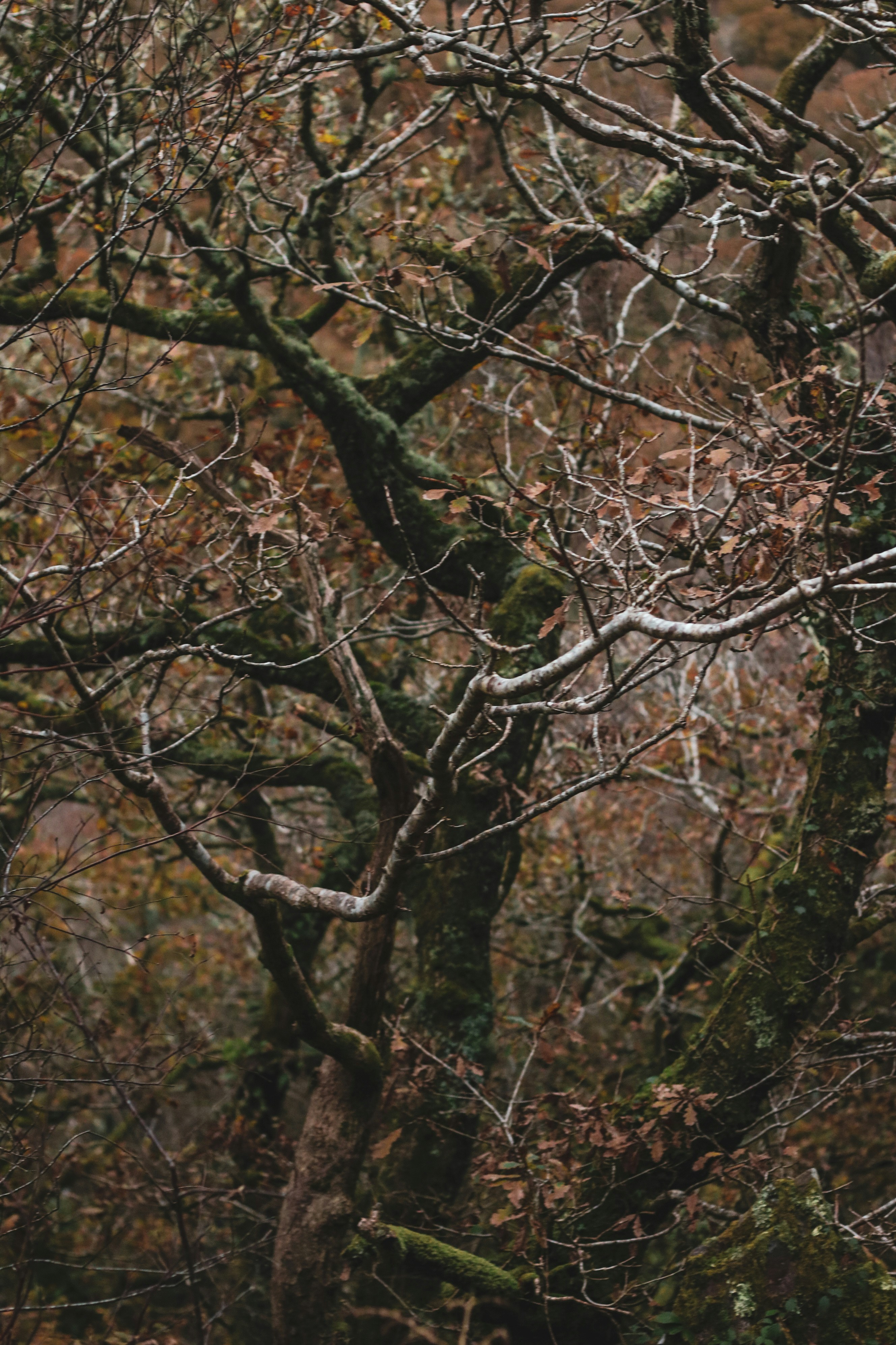 Photo by focalinsight