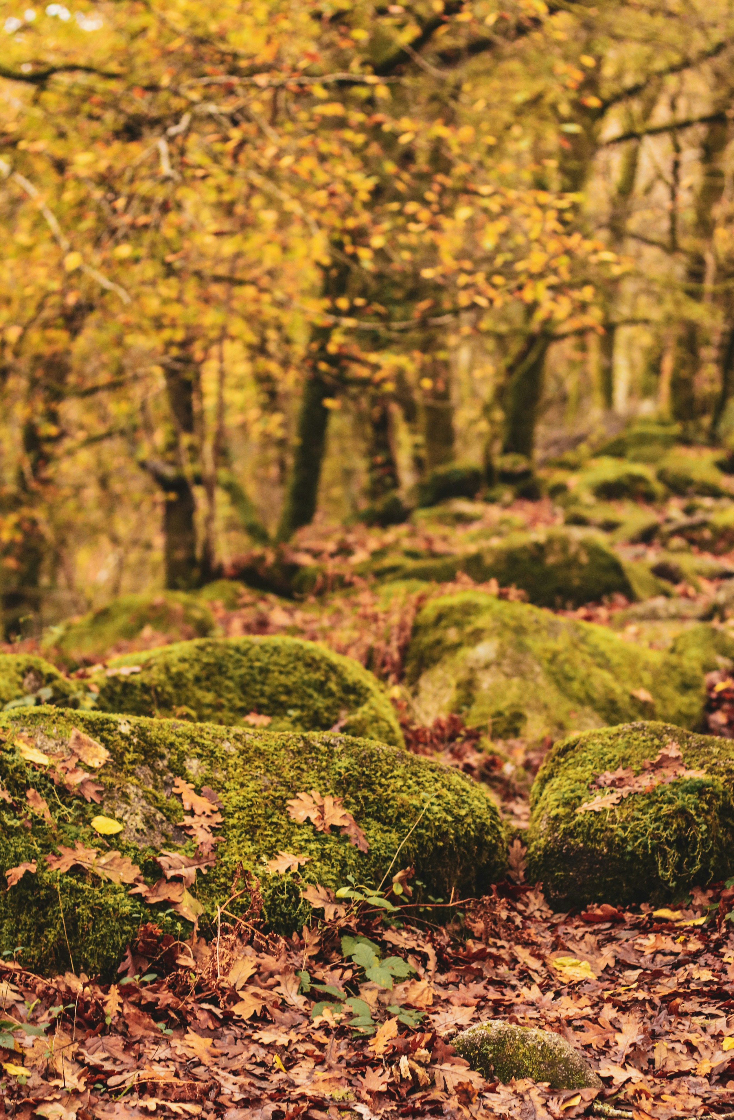 Photo by focalinsight