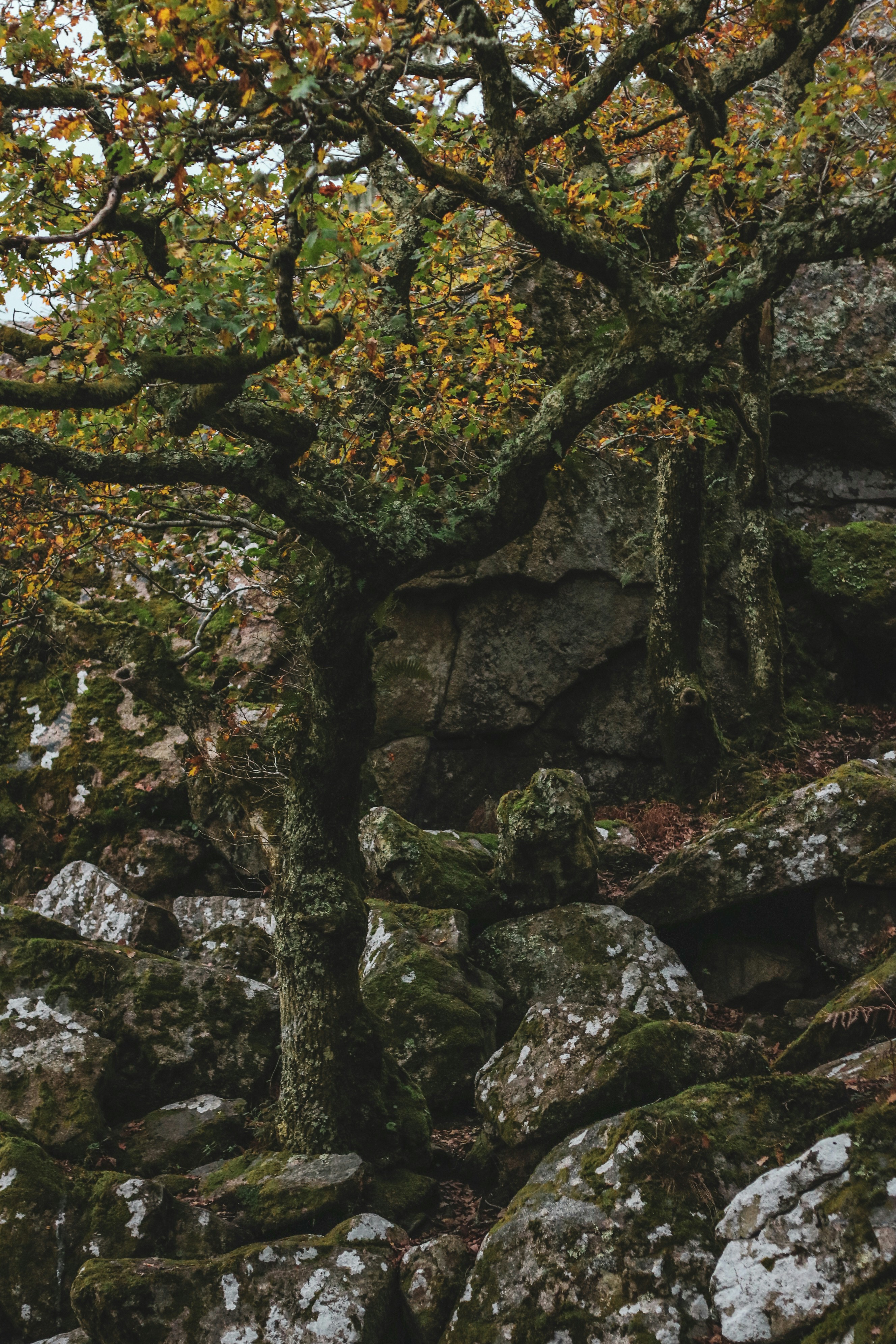 Photo by focalinsight