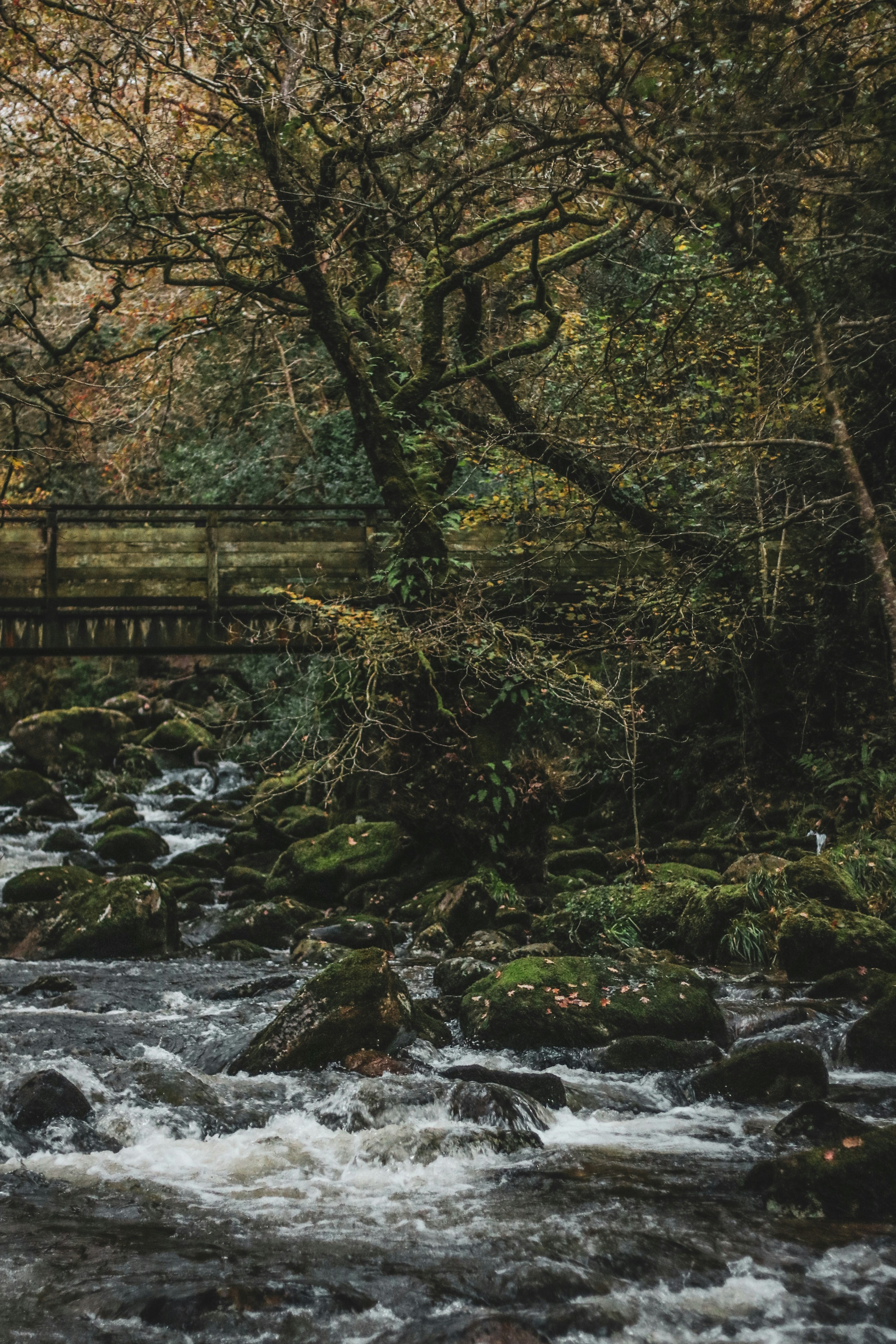 Photo by focalinsight