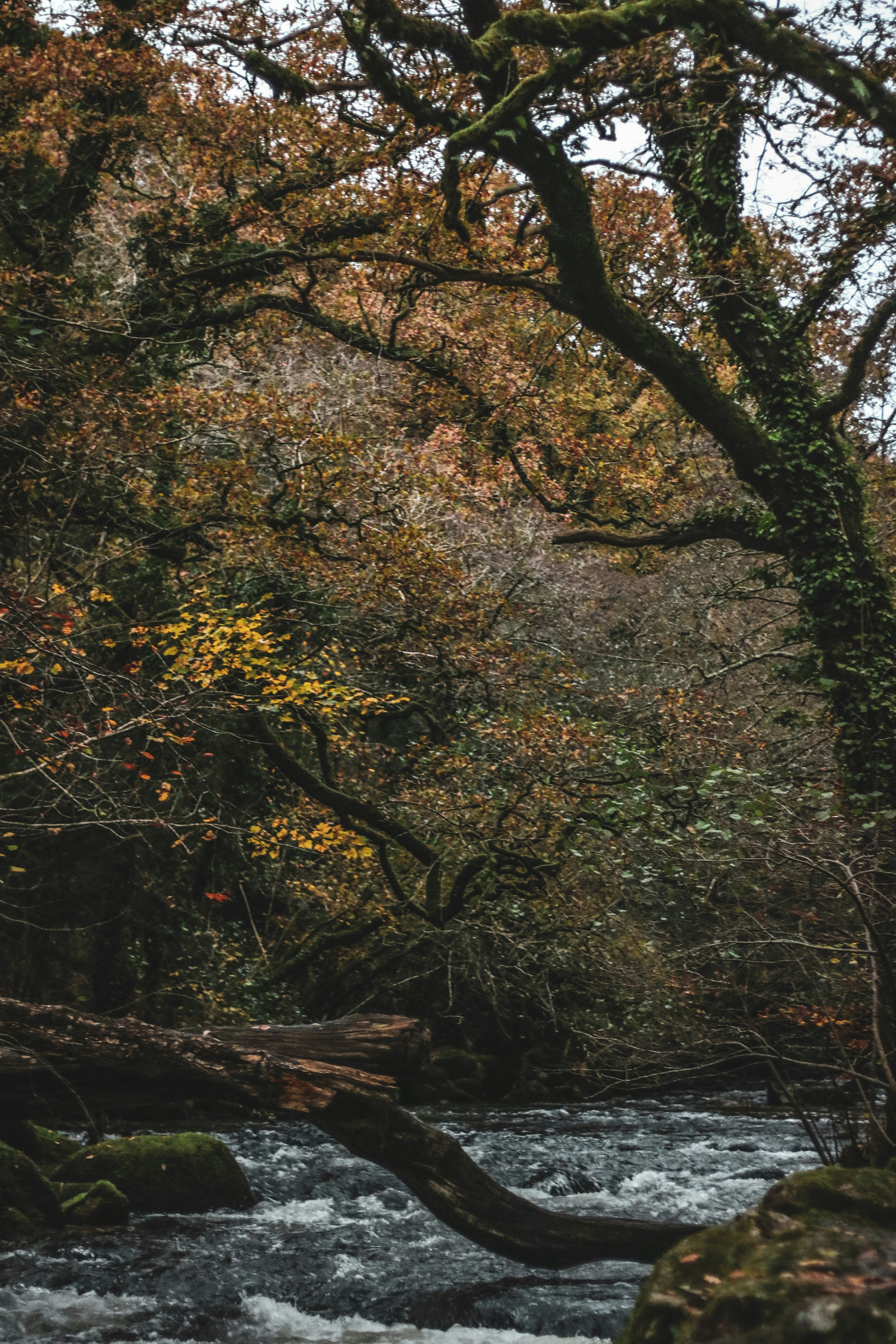 Photo by focalinsight