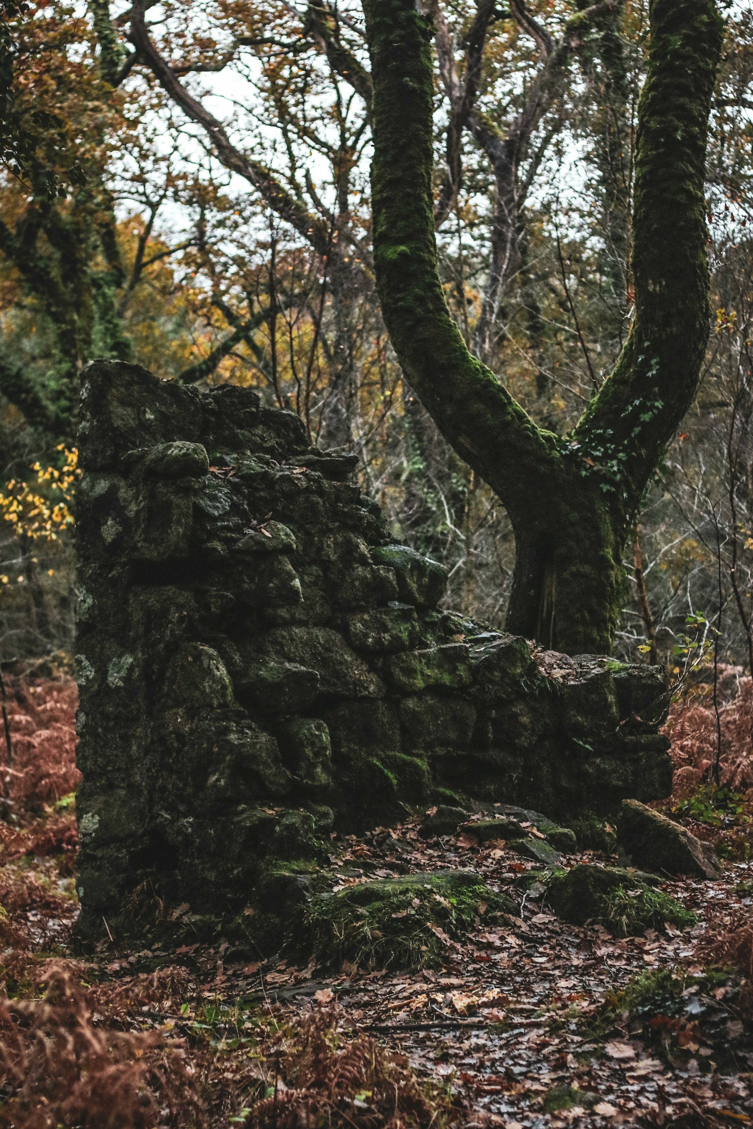 Photo by focalinsight