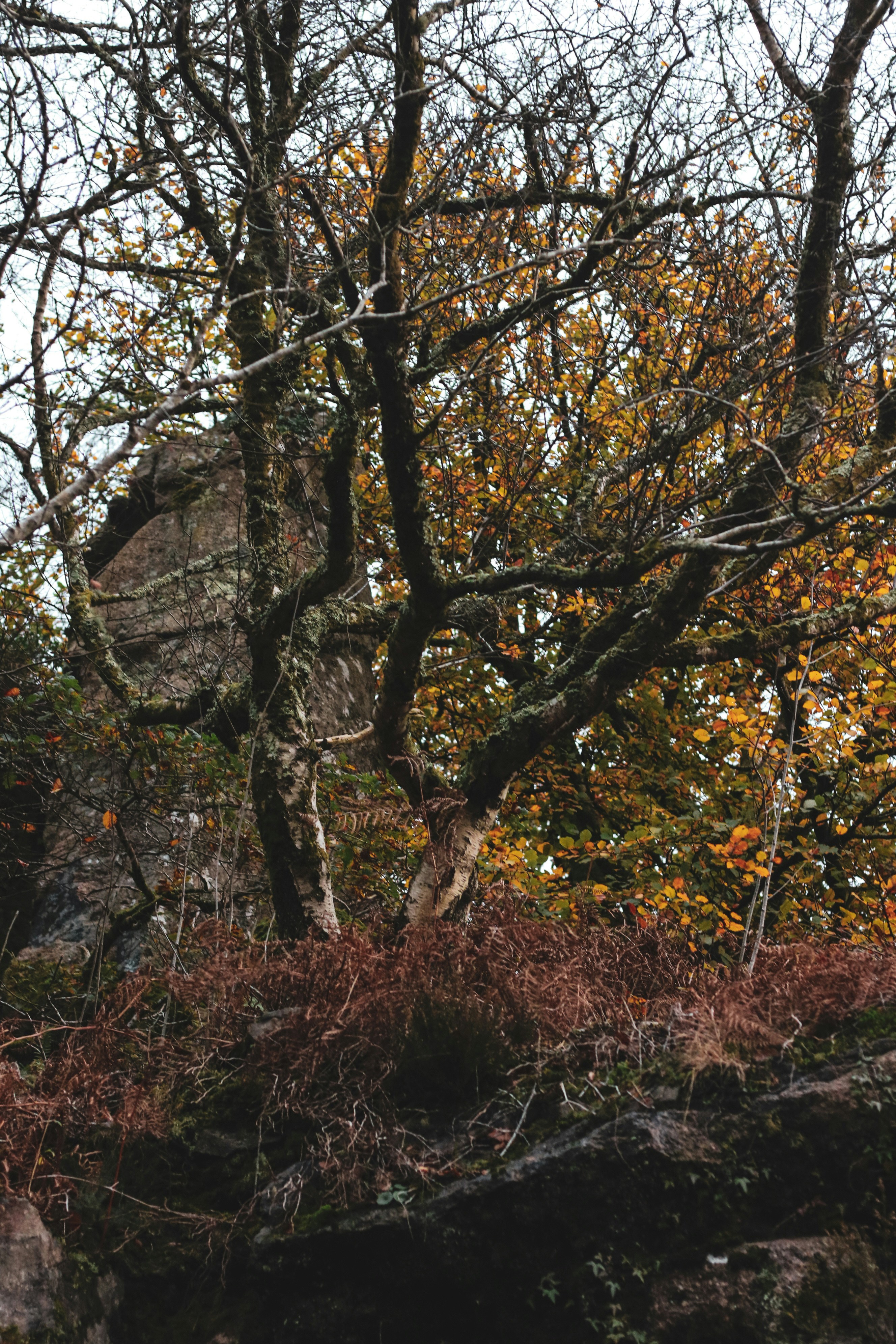 Photo by focalinsight