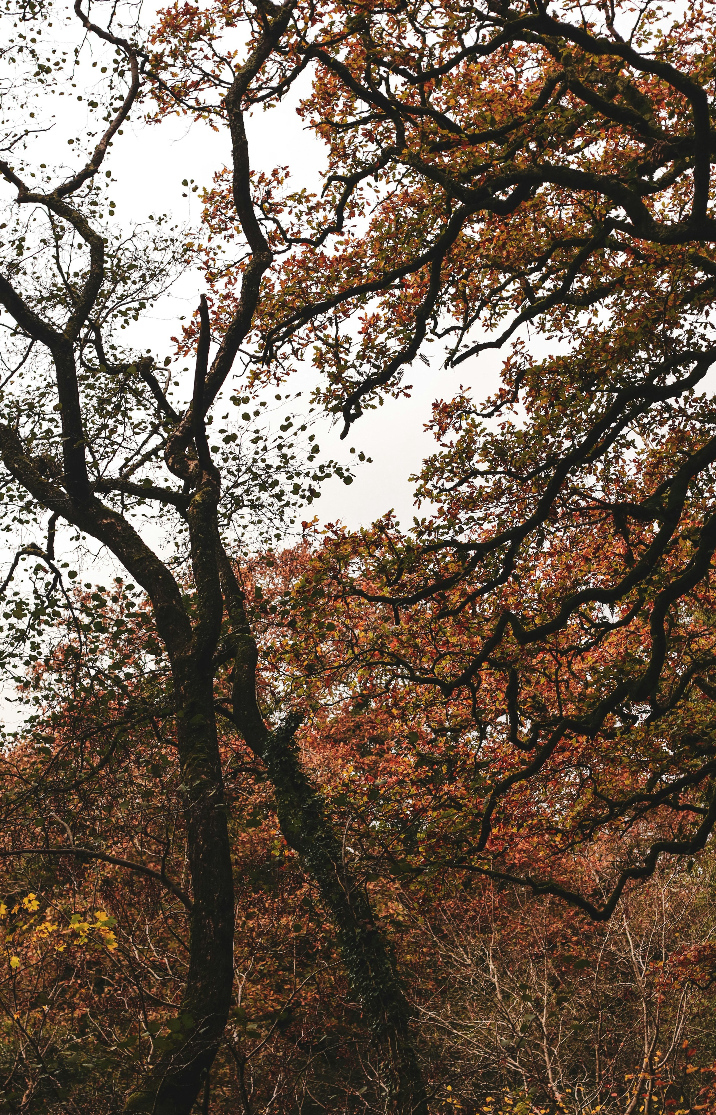 Photo by focalinsight