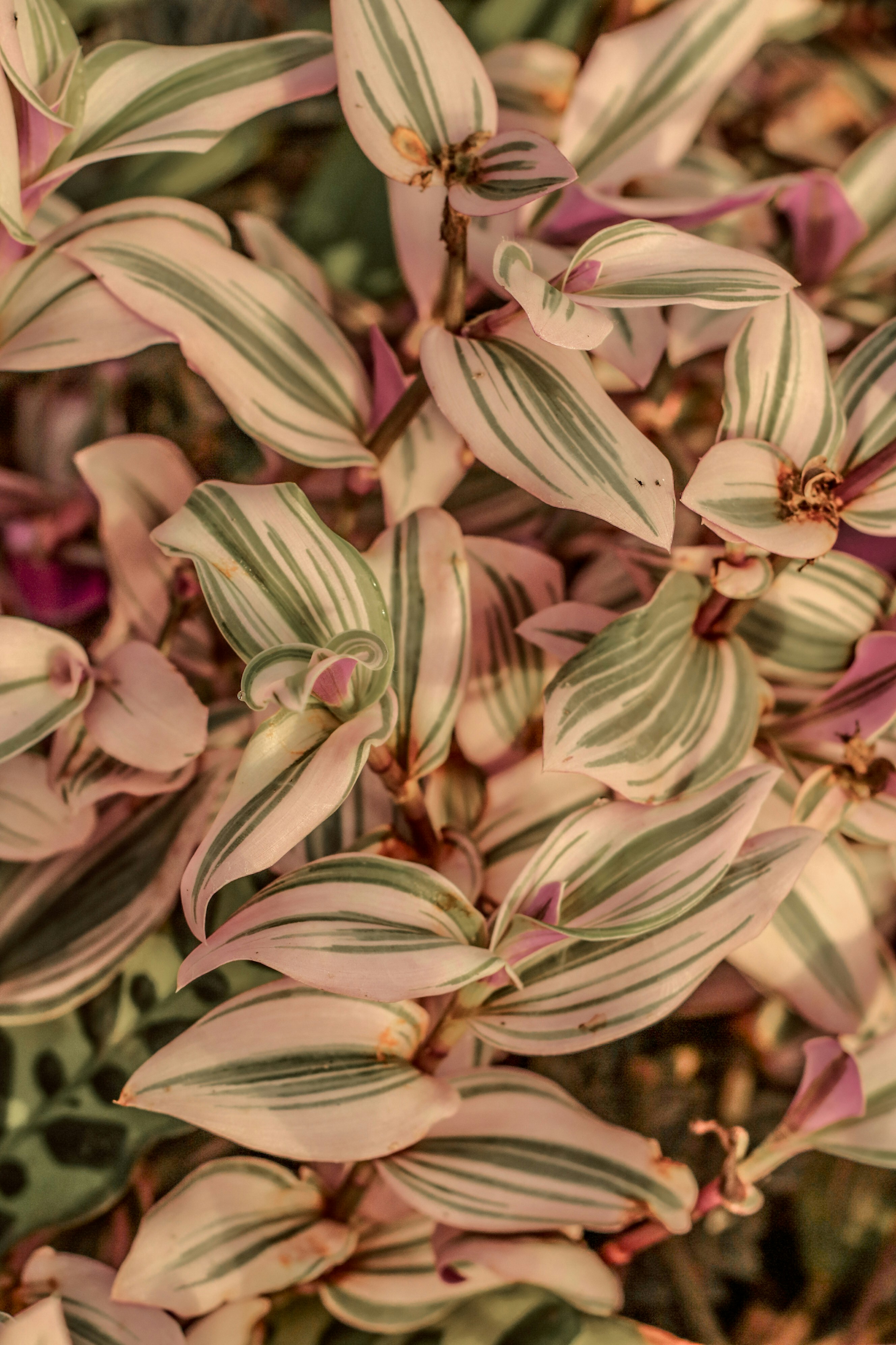 Photo by focalinsight