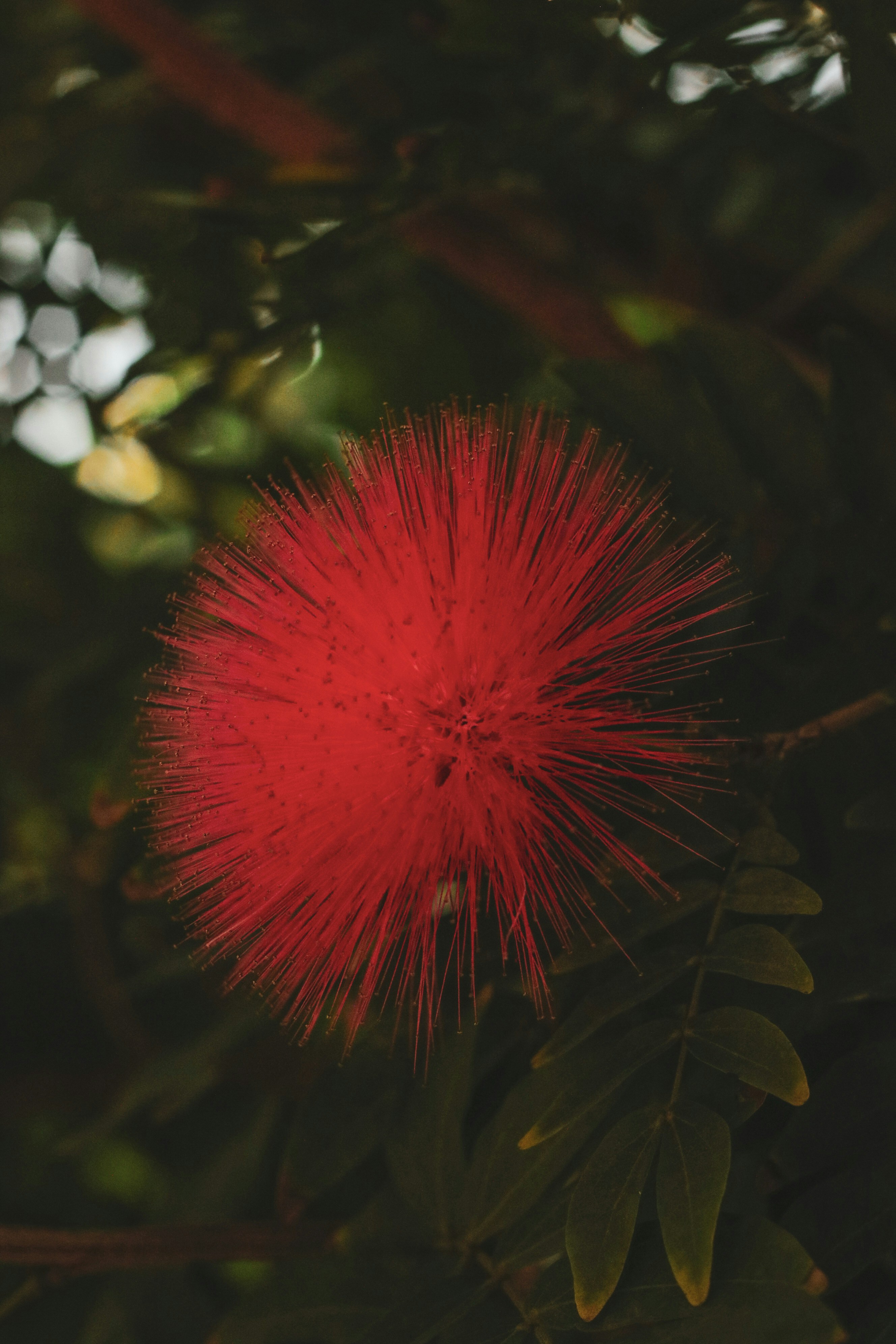 Photo by focalinsight