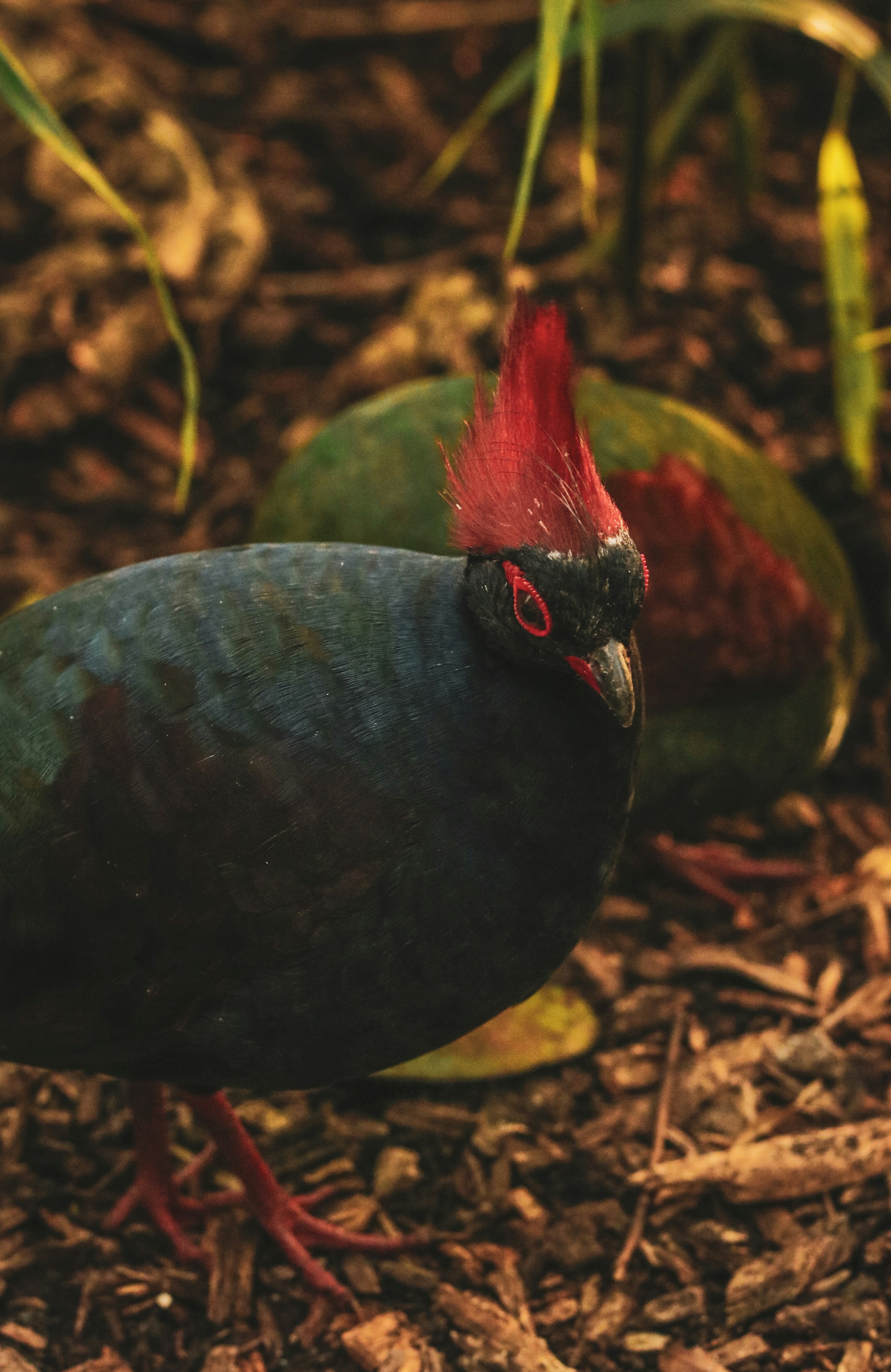 Photo by focalinsight