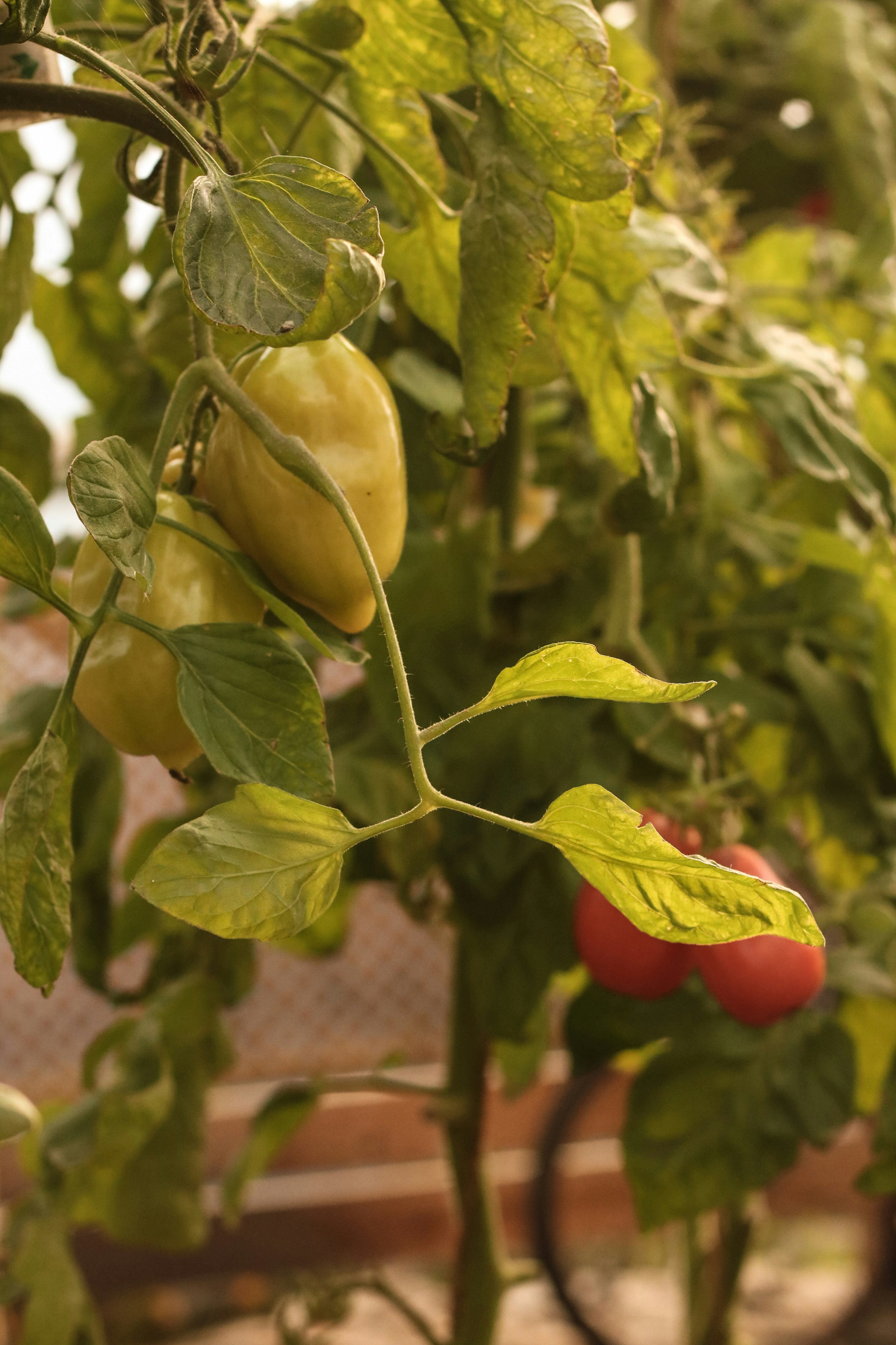 Photo by focalinsight