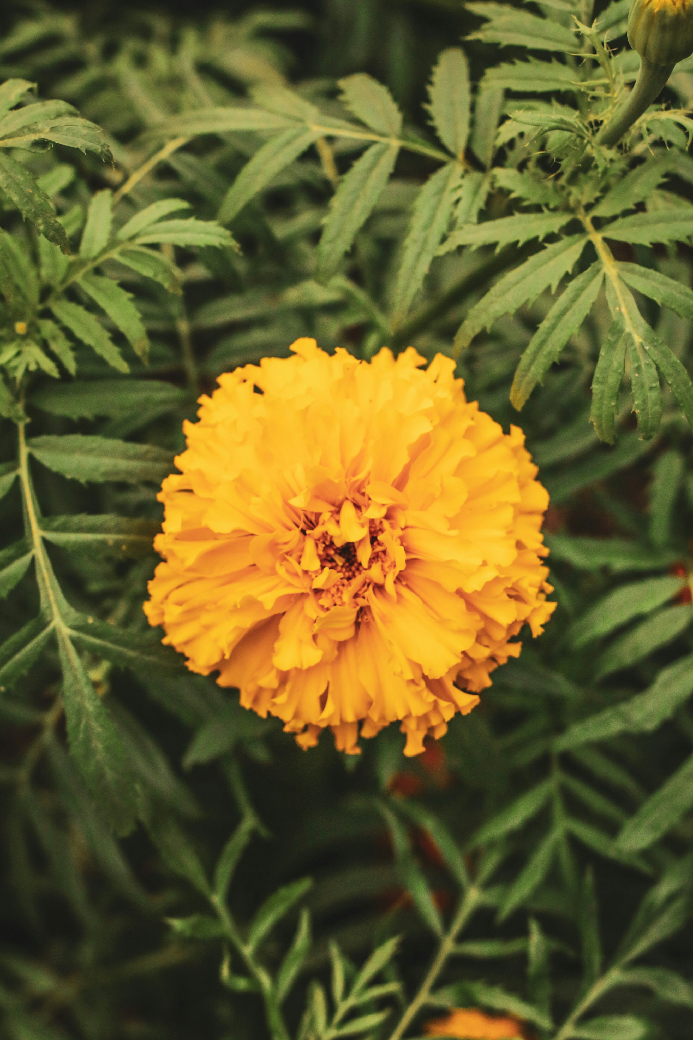 Photo by focalinsight