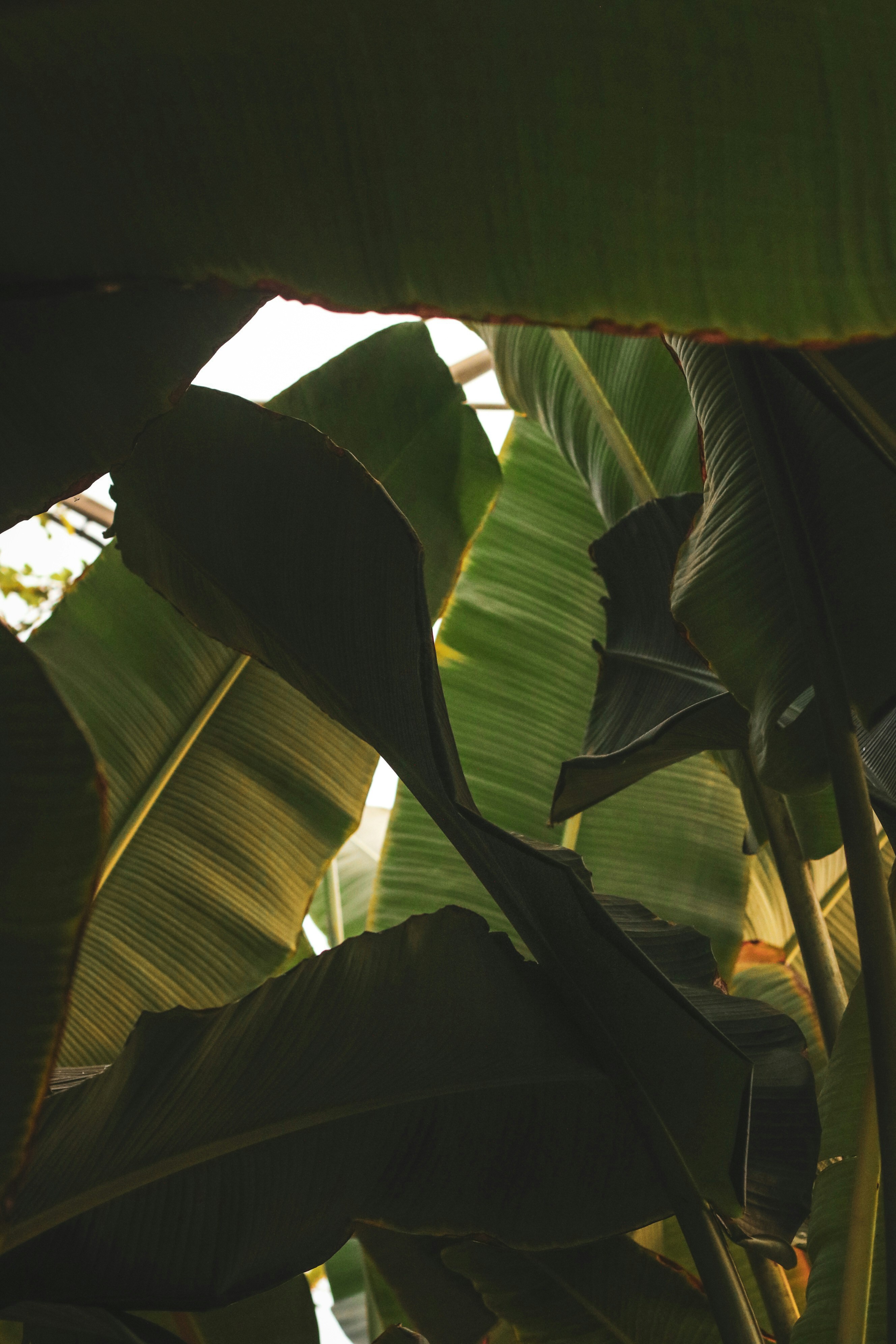 Photo by focalinsight