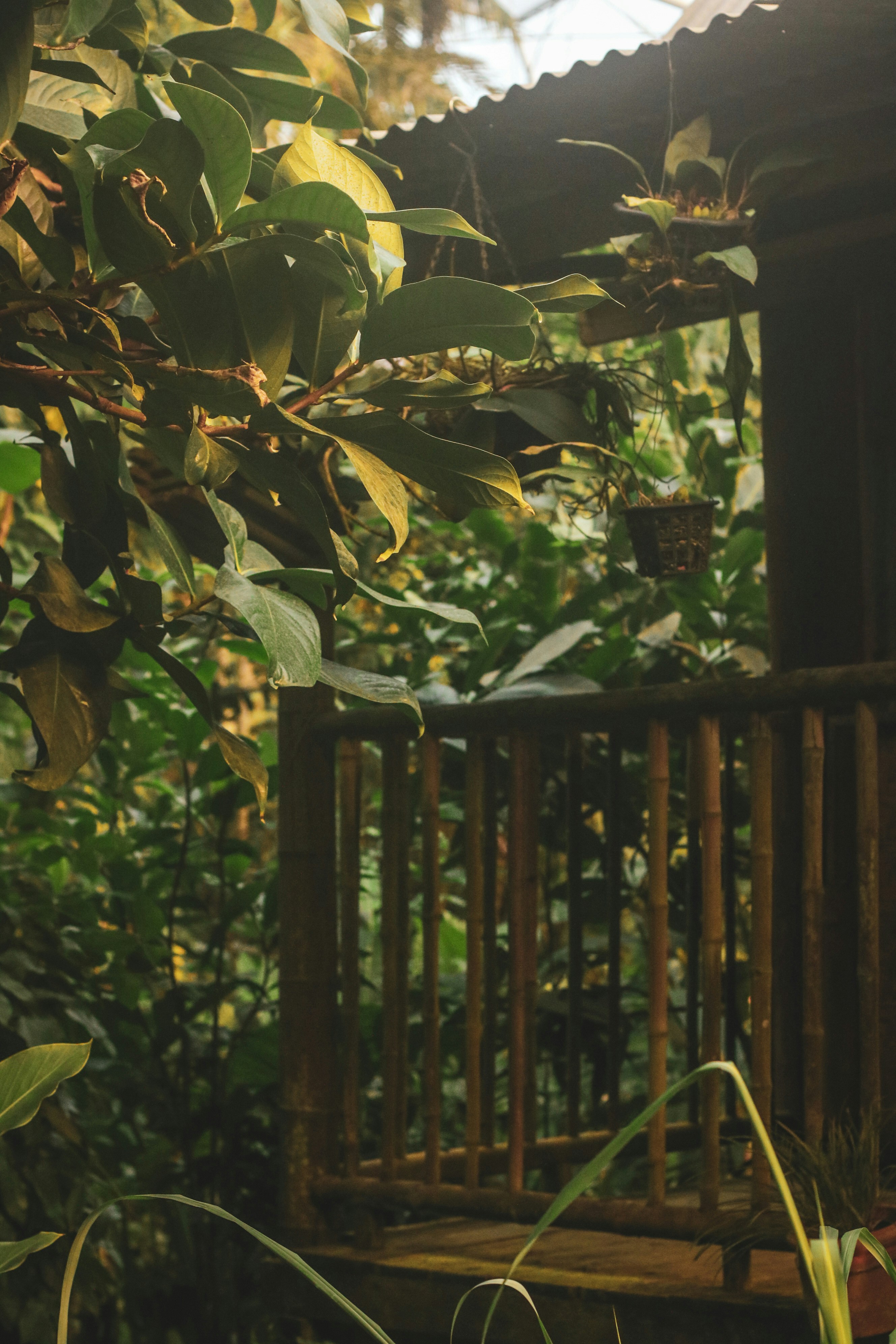 Photo by focalinsight