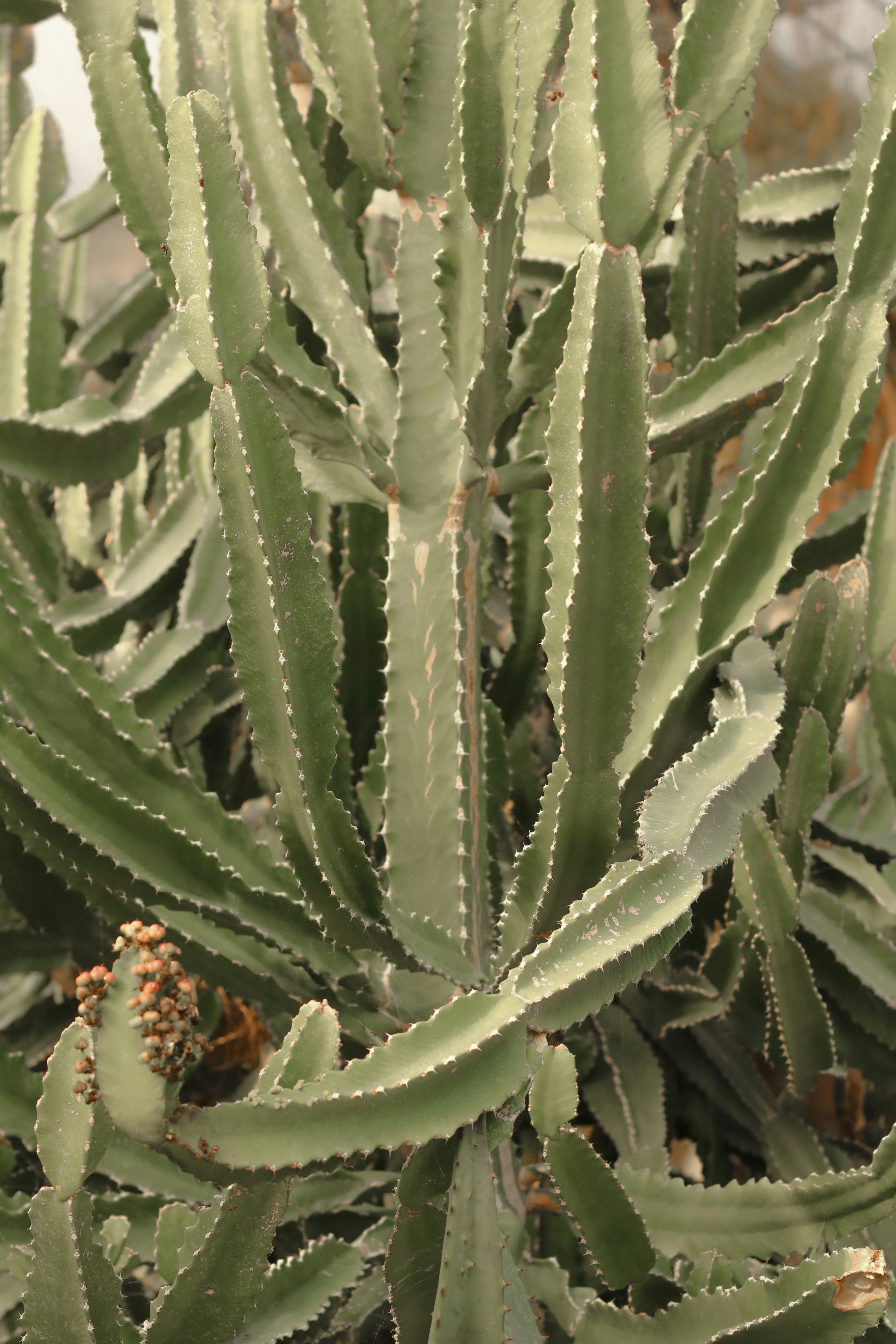 Photo by focalinsight