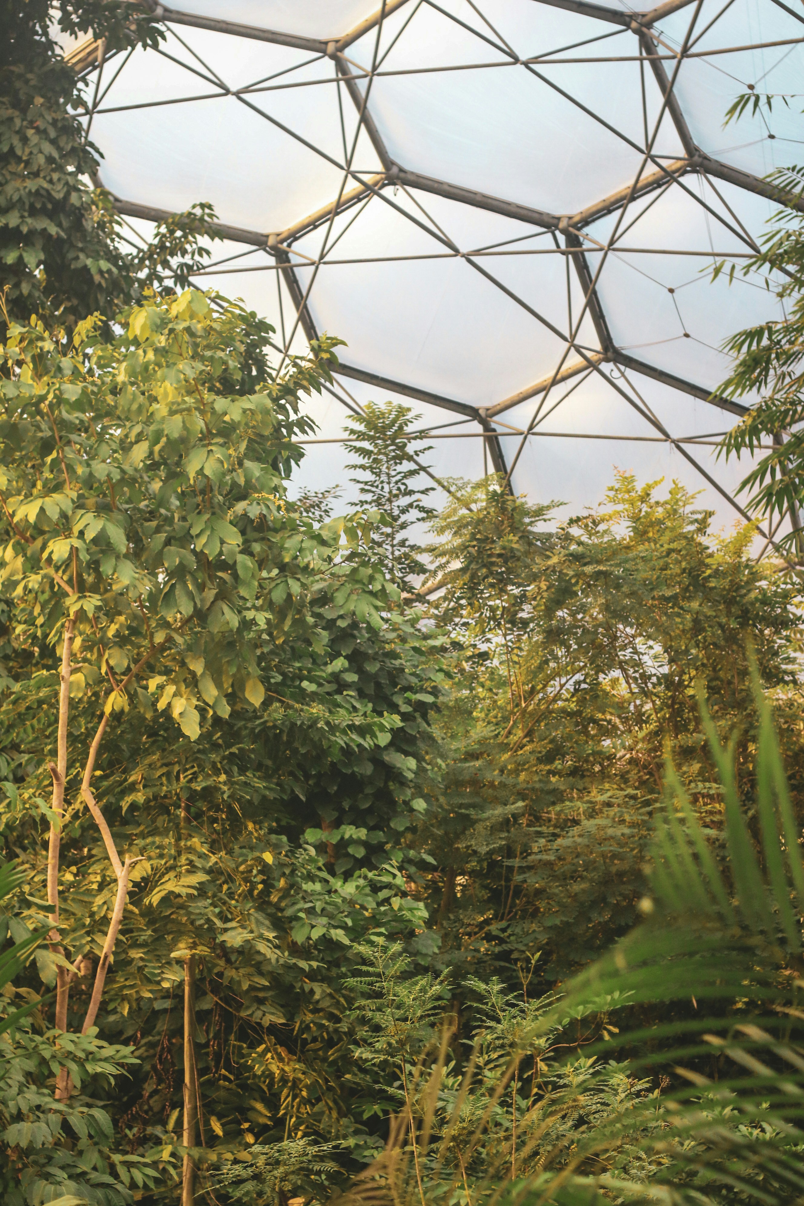 Photo by focalinsight