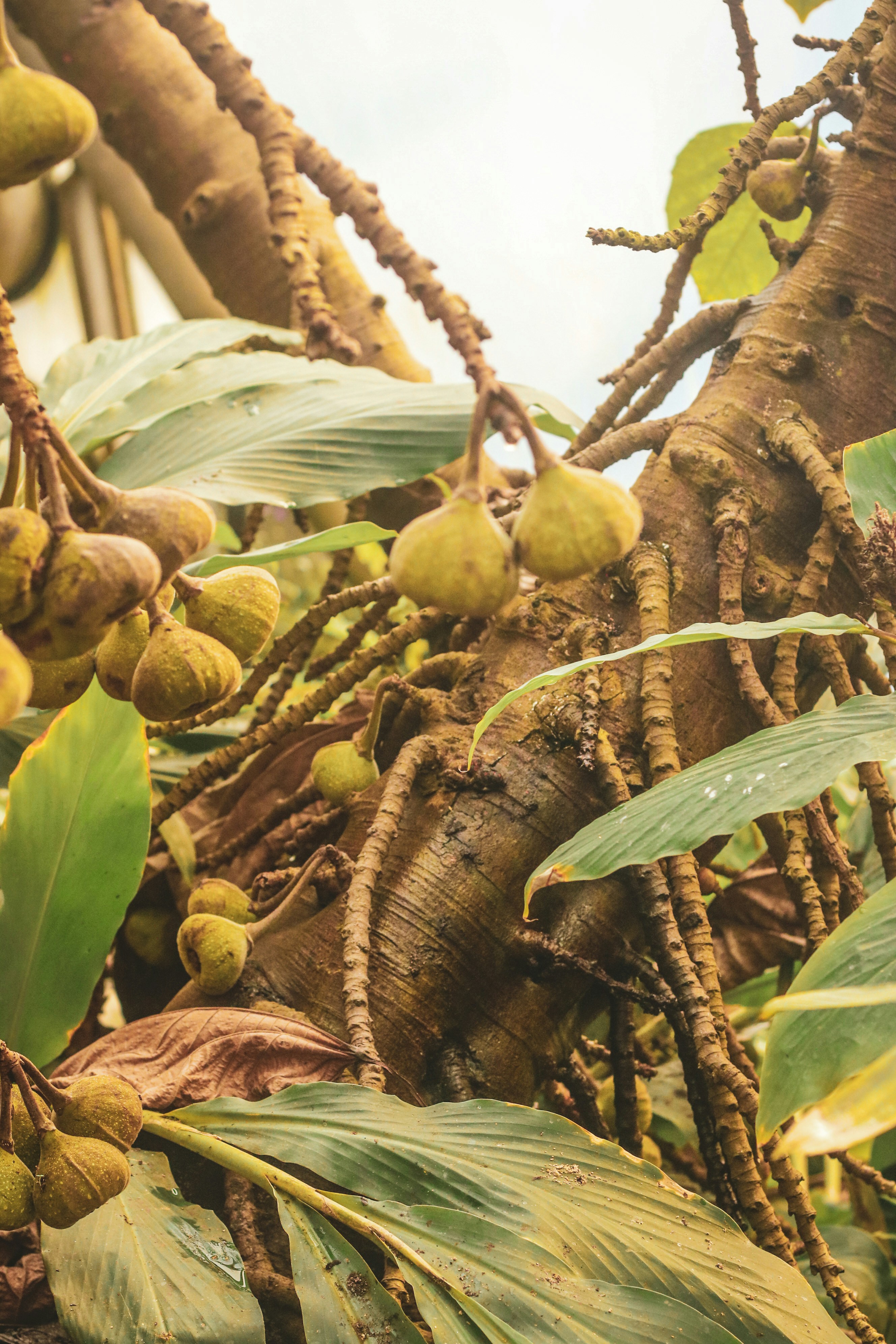 Photo by focalinsight