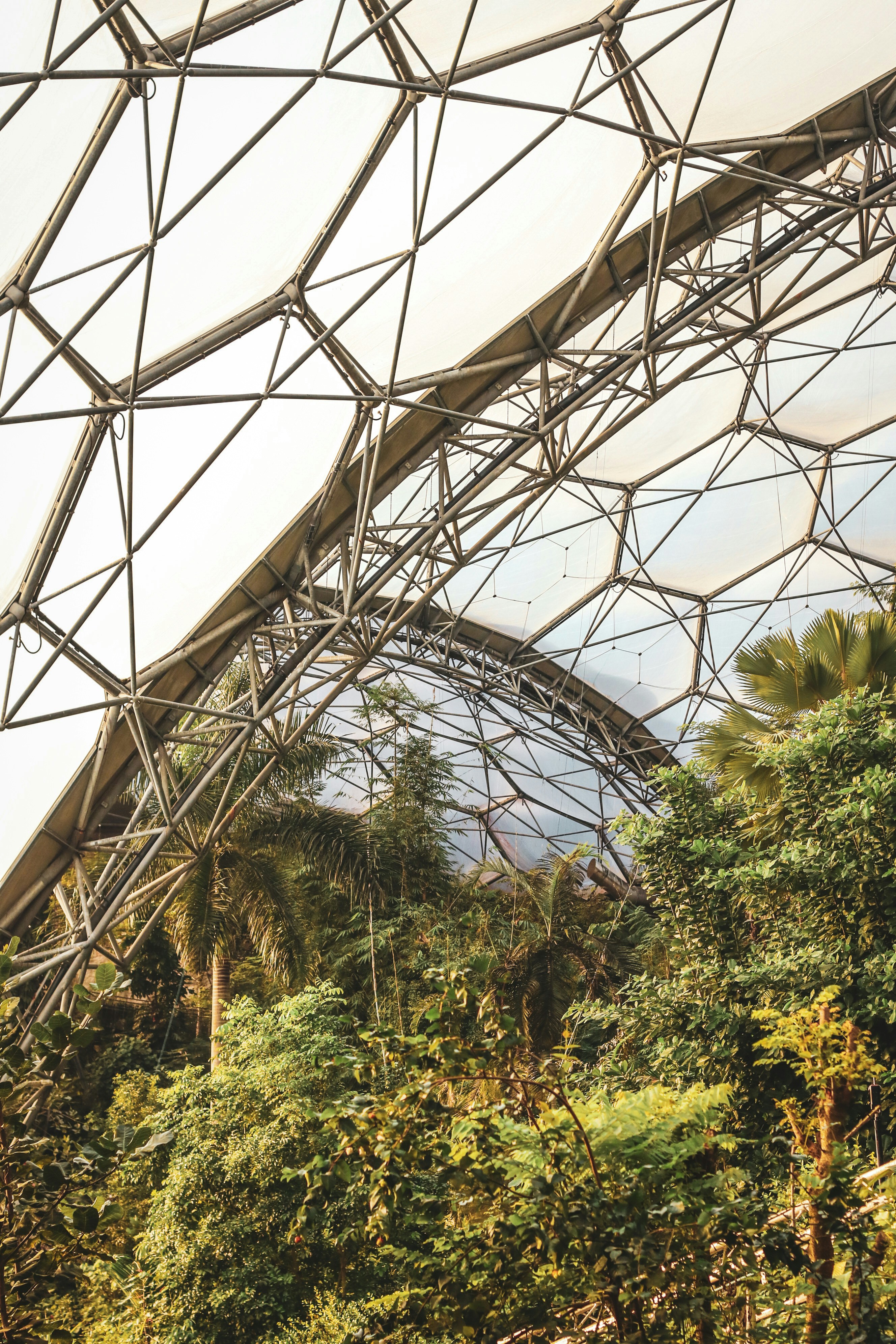 Photo by focalinsight