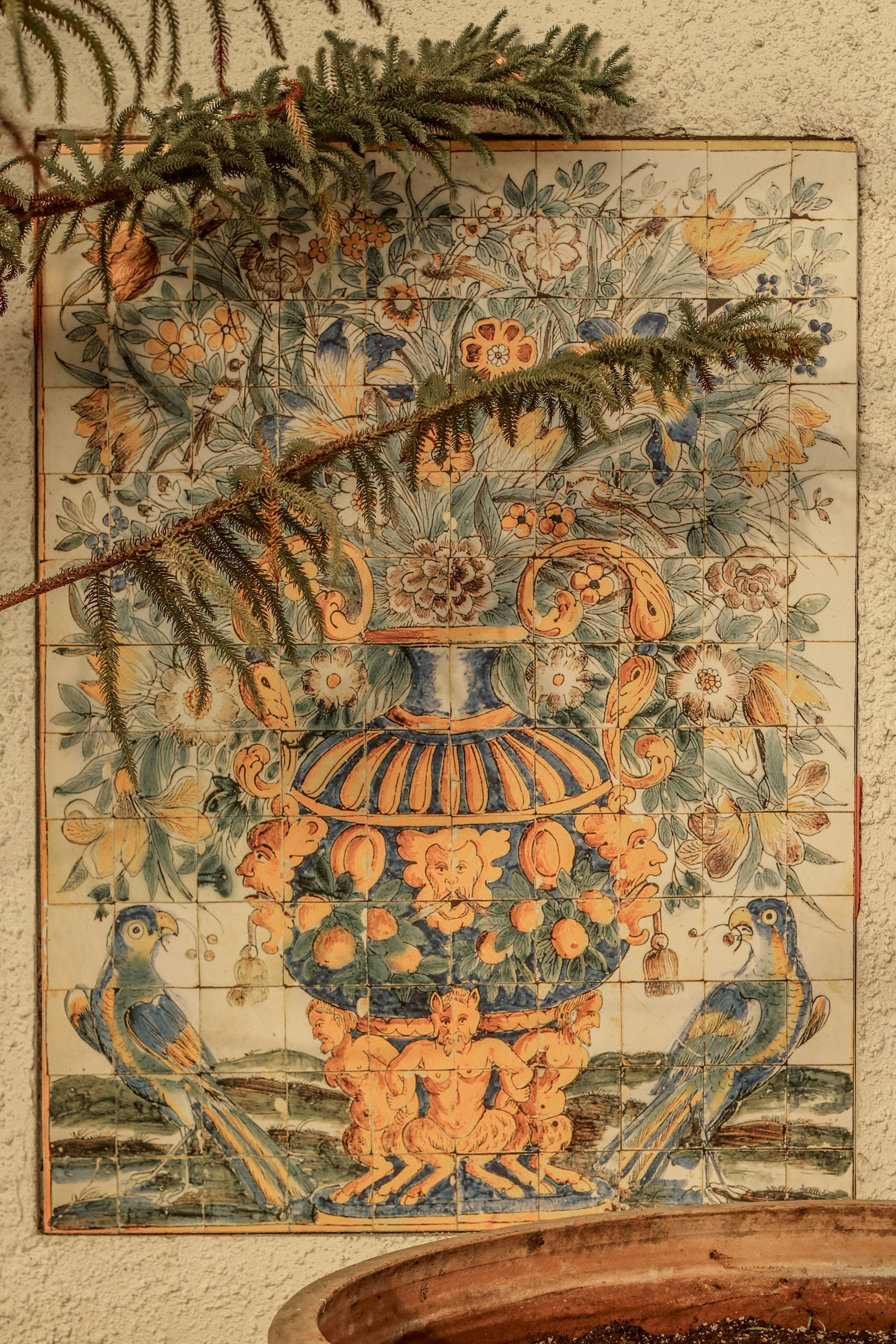 Photo by focalinsight