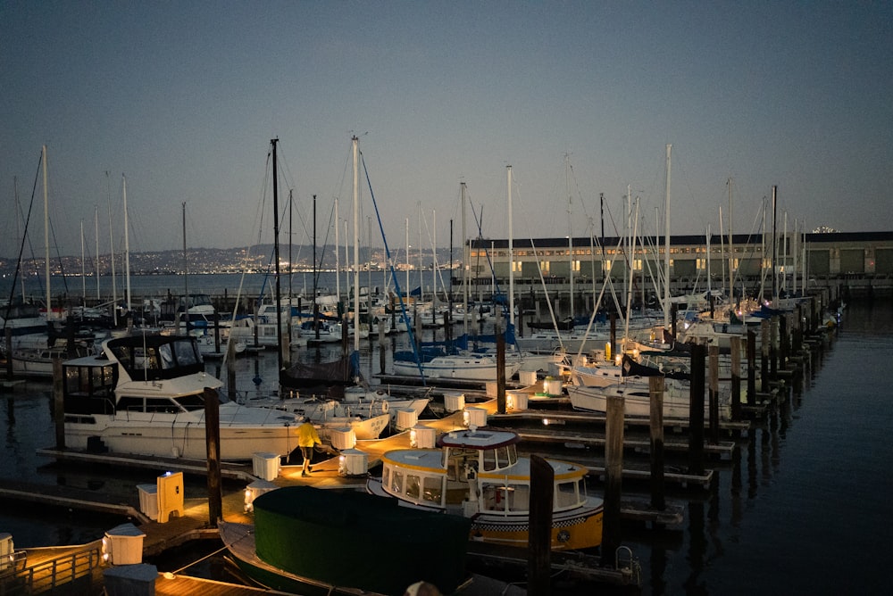 a marina full of boats