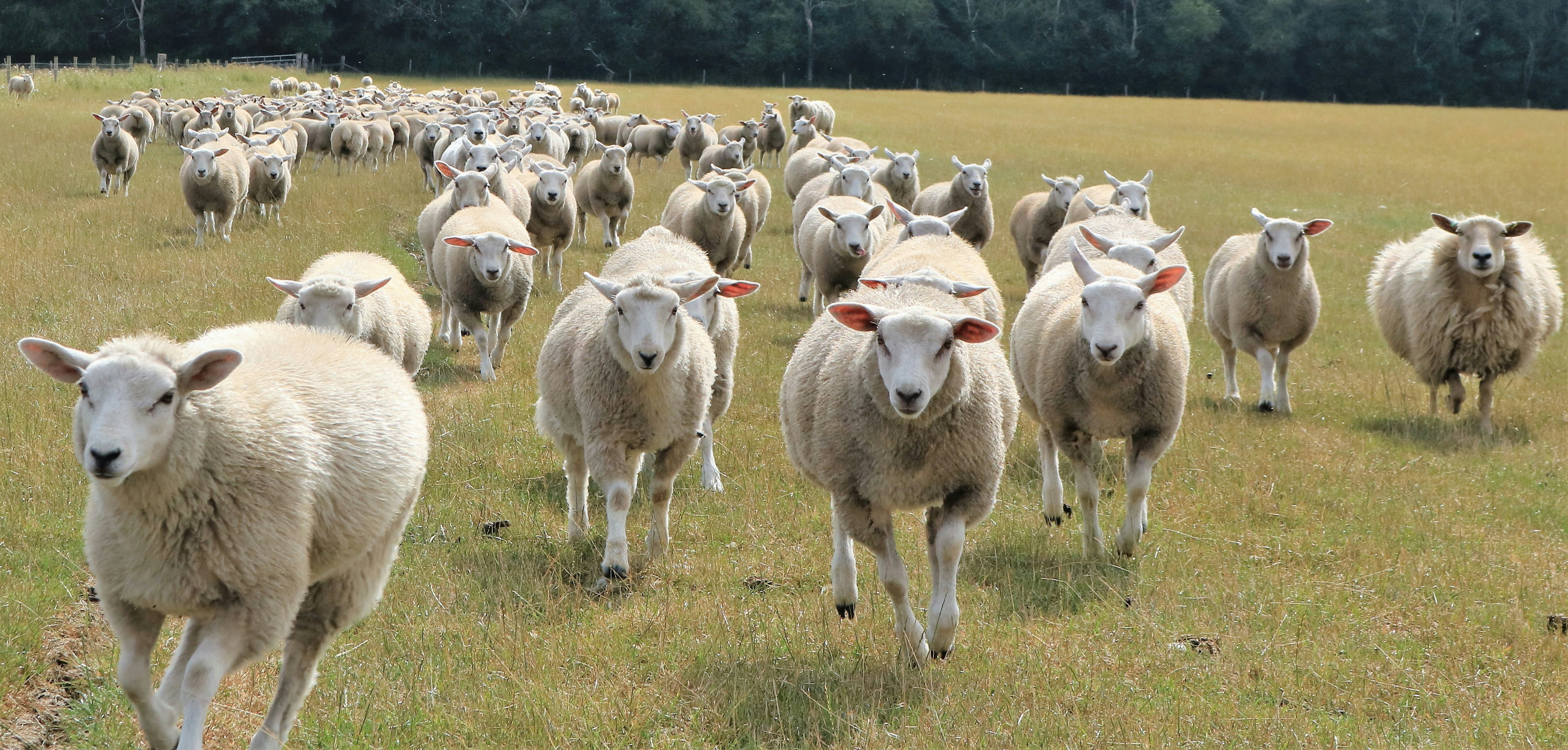 Photo by itscakefortea