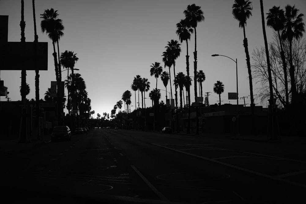 uma rua com palmeiras ao lado