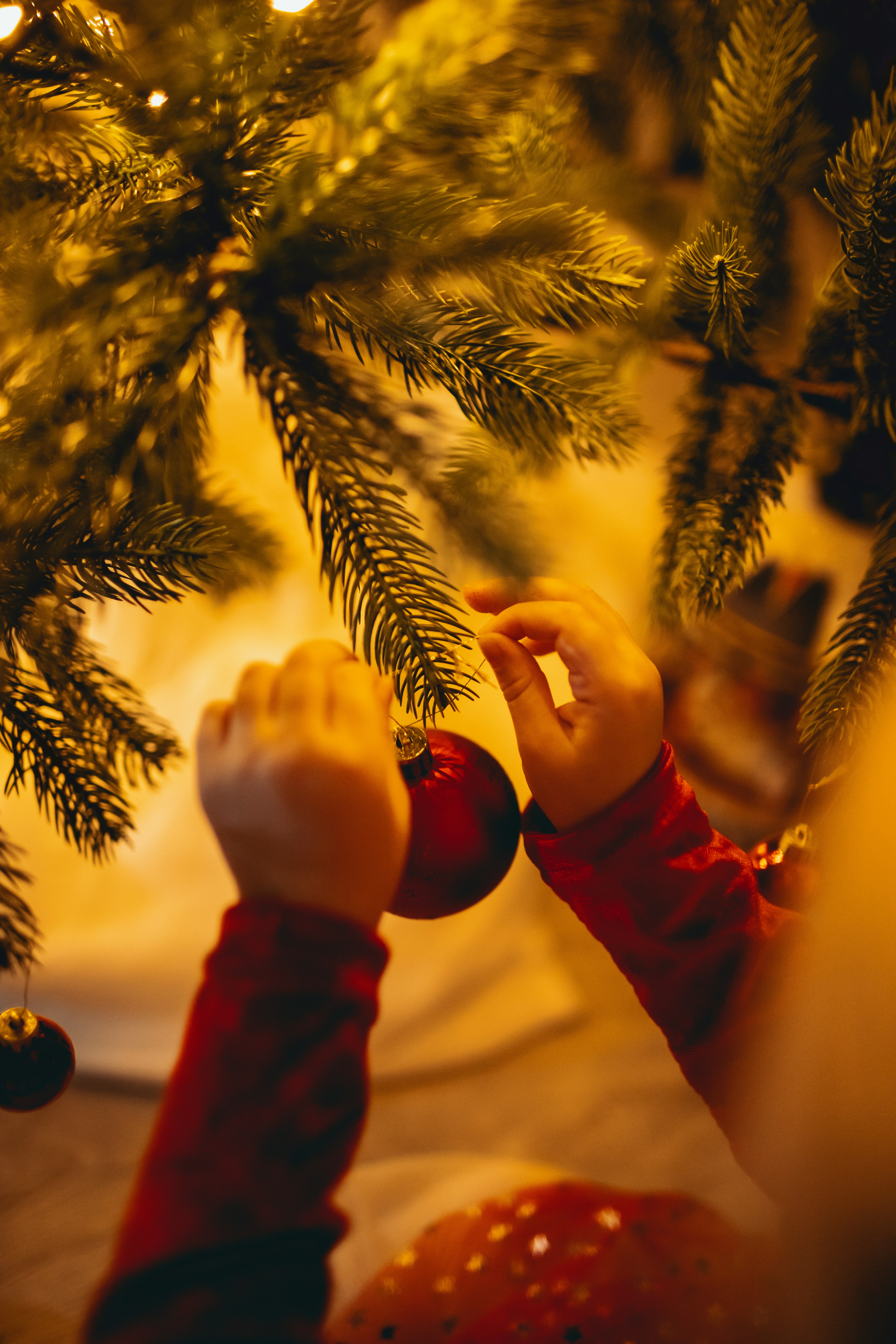 Photo by annaacurcan