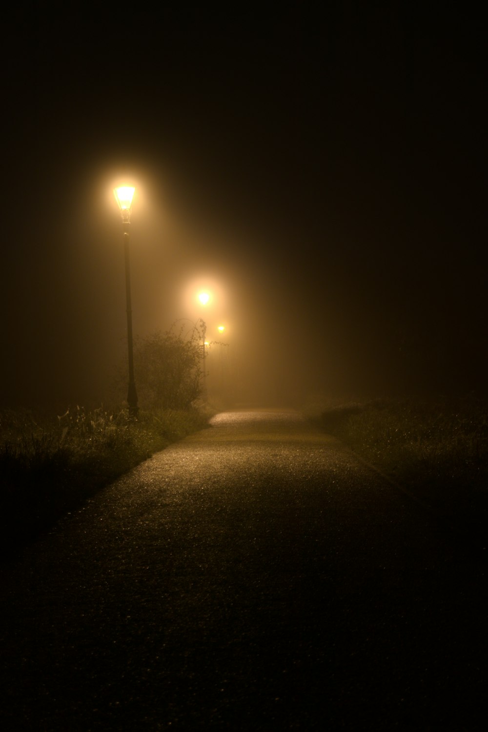a road at night